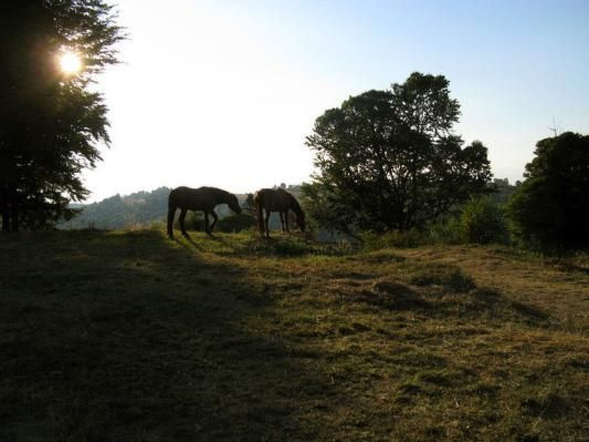 Casa Pelu - Uriges Bauernhaus mit Dachterrasse-Image-tags.info