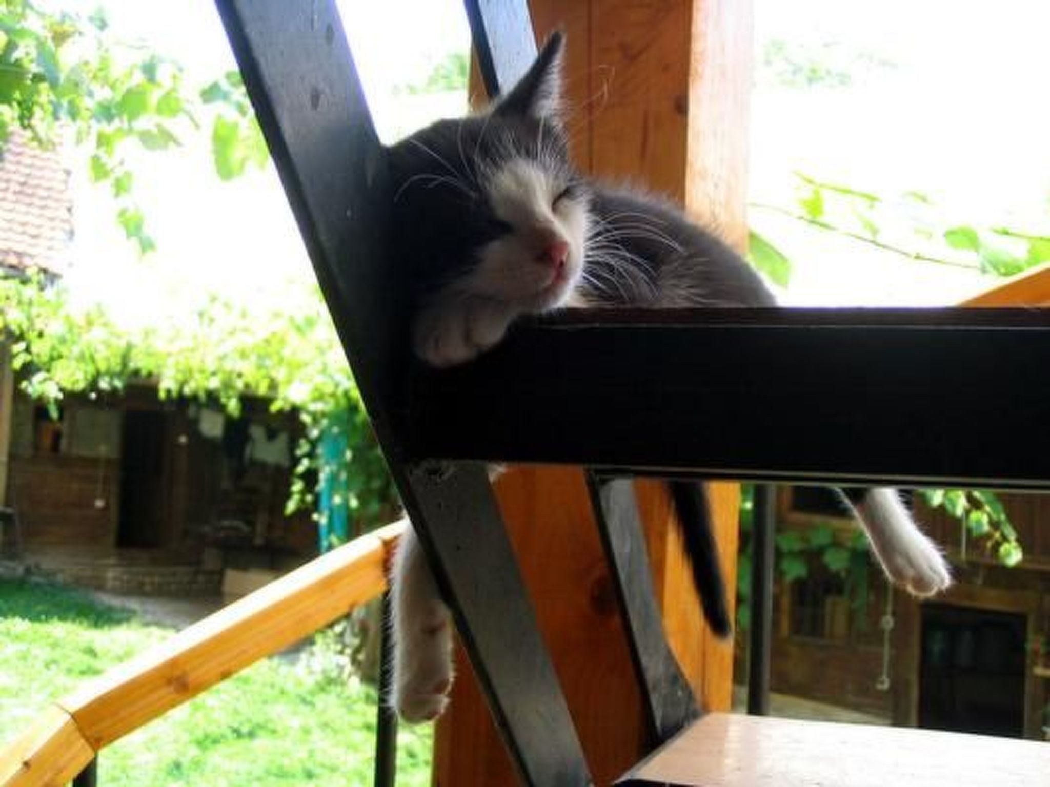 Casa Pelu - Uriges Bauernhaus mit Dachterrasse-Image-tags.info