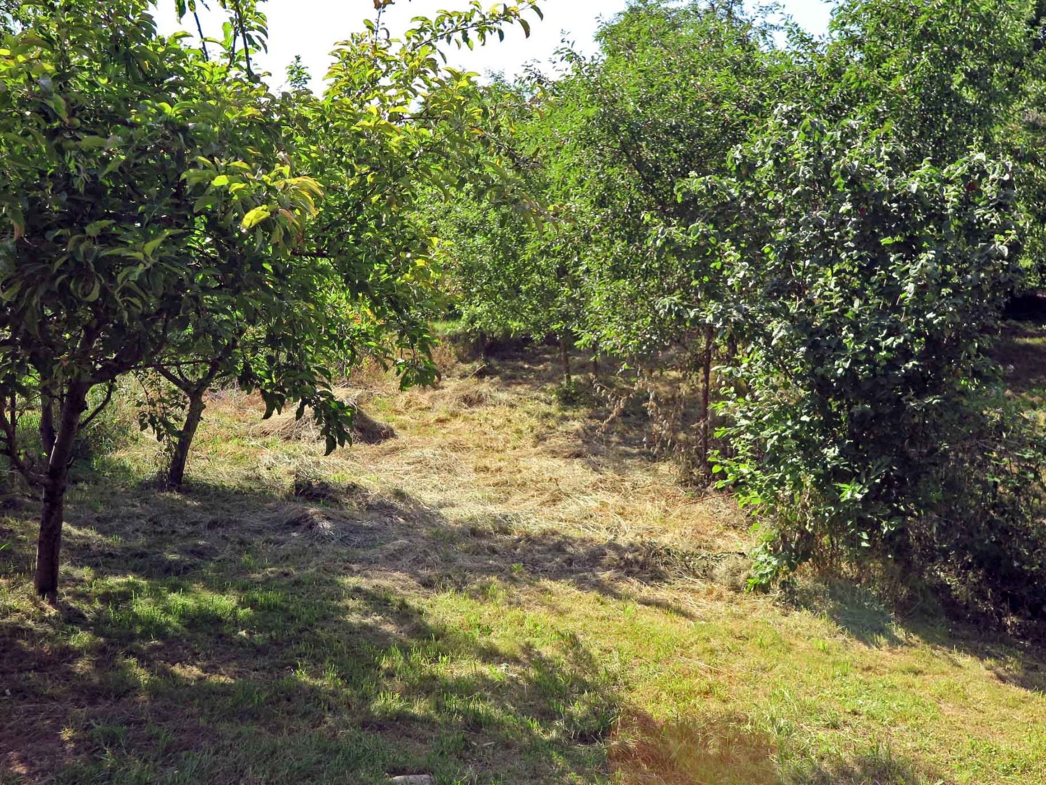 Casa Lopo - renovierter Bauernhof im Hirtendorf-Binnen
