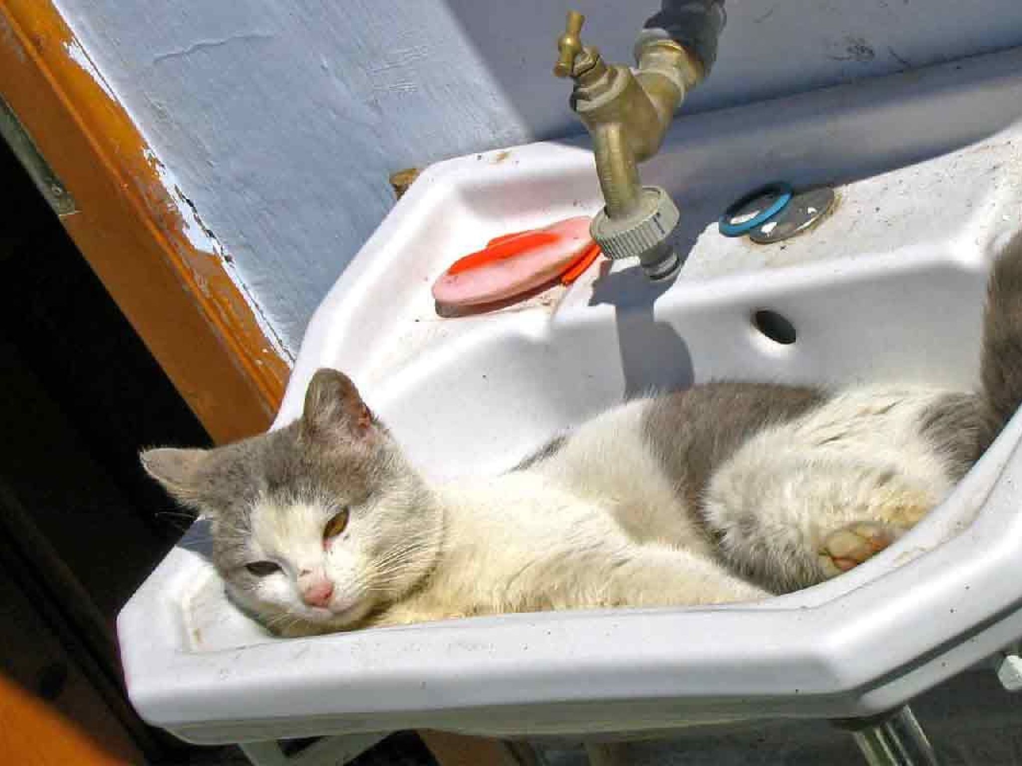 Casa Nicu - traditionelles Landhaus in Hirtendorf-Binnen