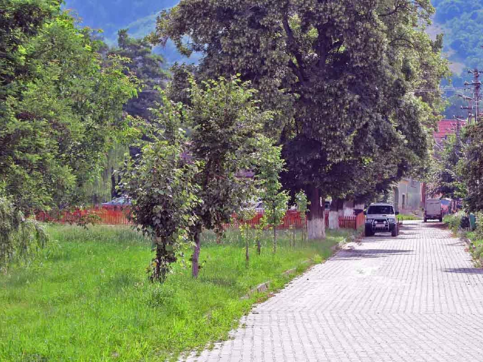 Casa Nicu - traditionelles Landhaus in Hirtendorf-Binnen