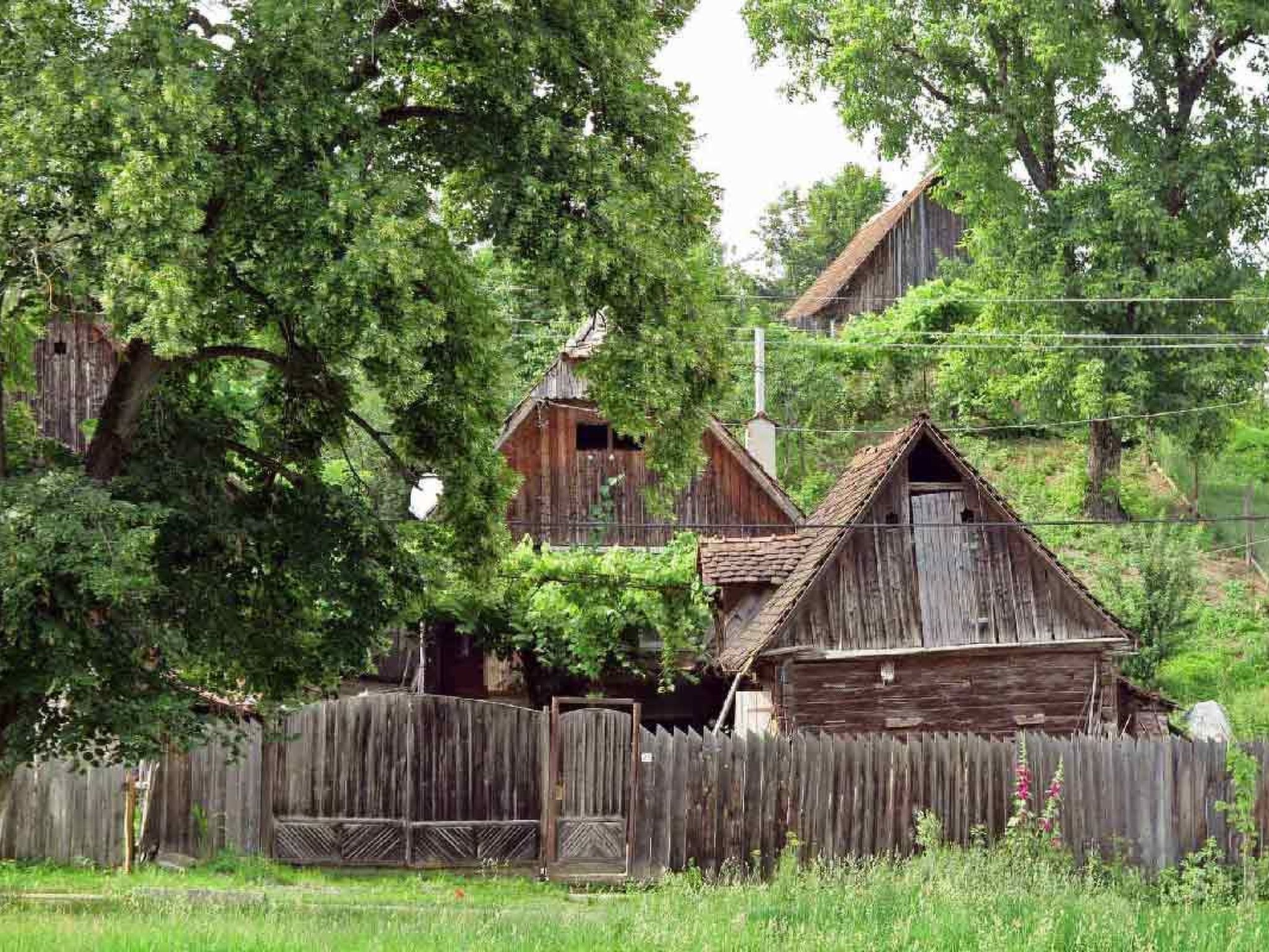 Casa Nicu - traditionelles Landhaus in Hirtendorf-Binnen