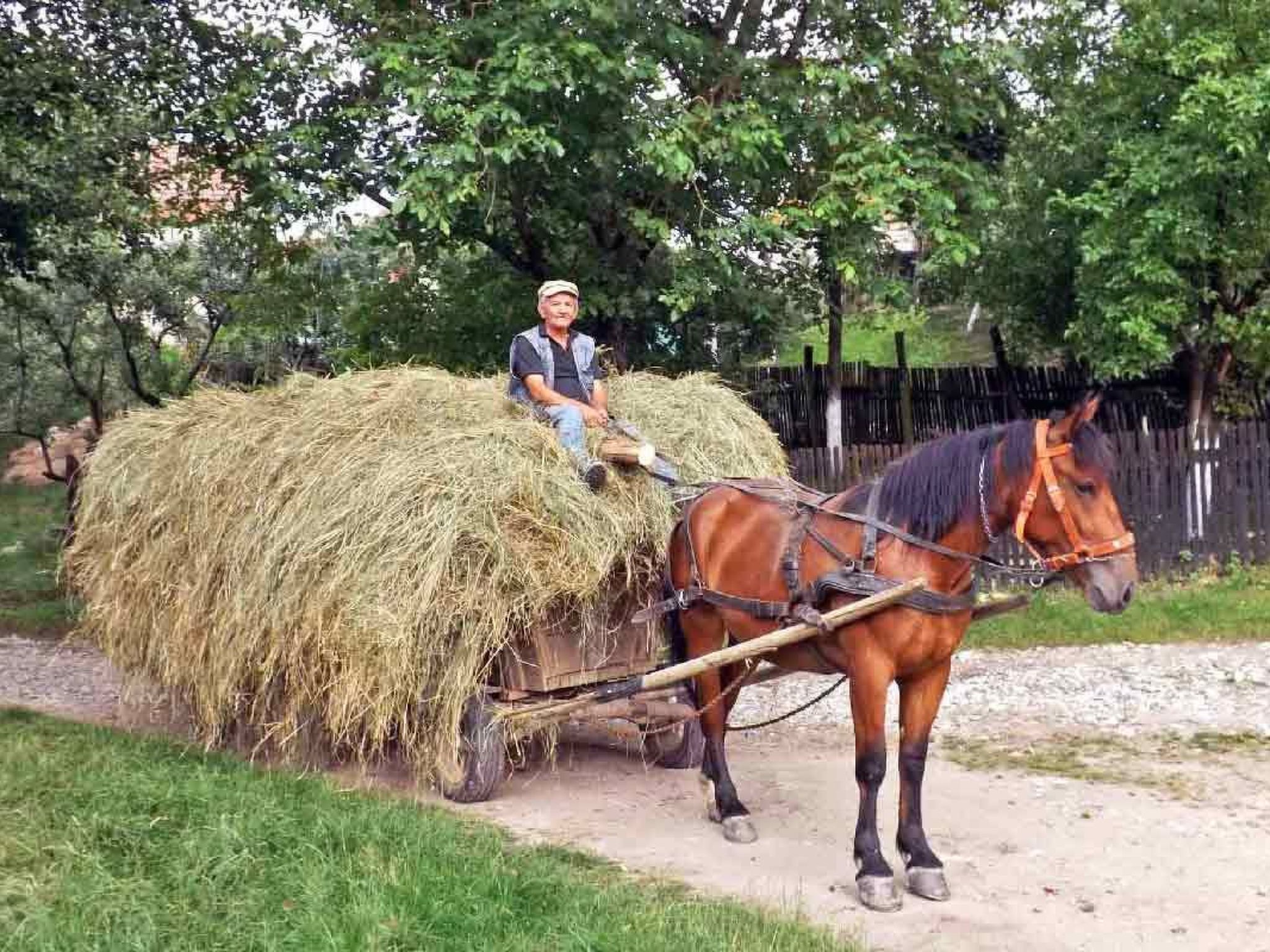 Casa Nicu - traditionelles Landhaus in Hirtendorf-Binnen