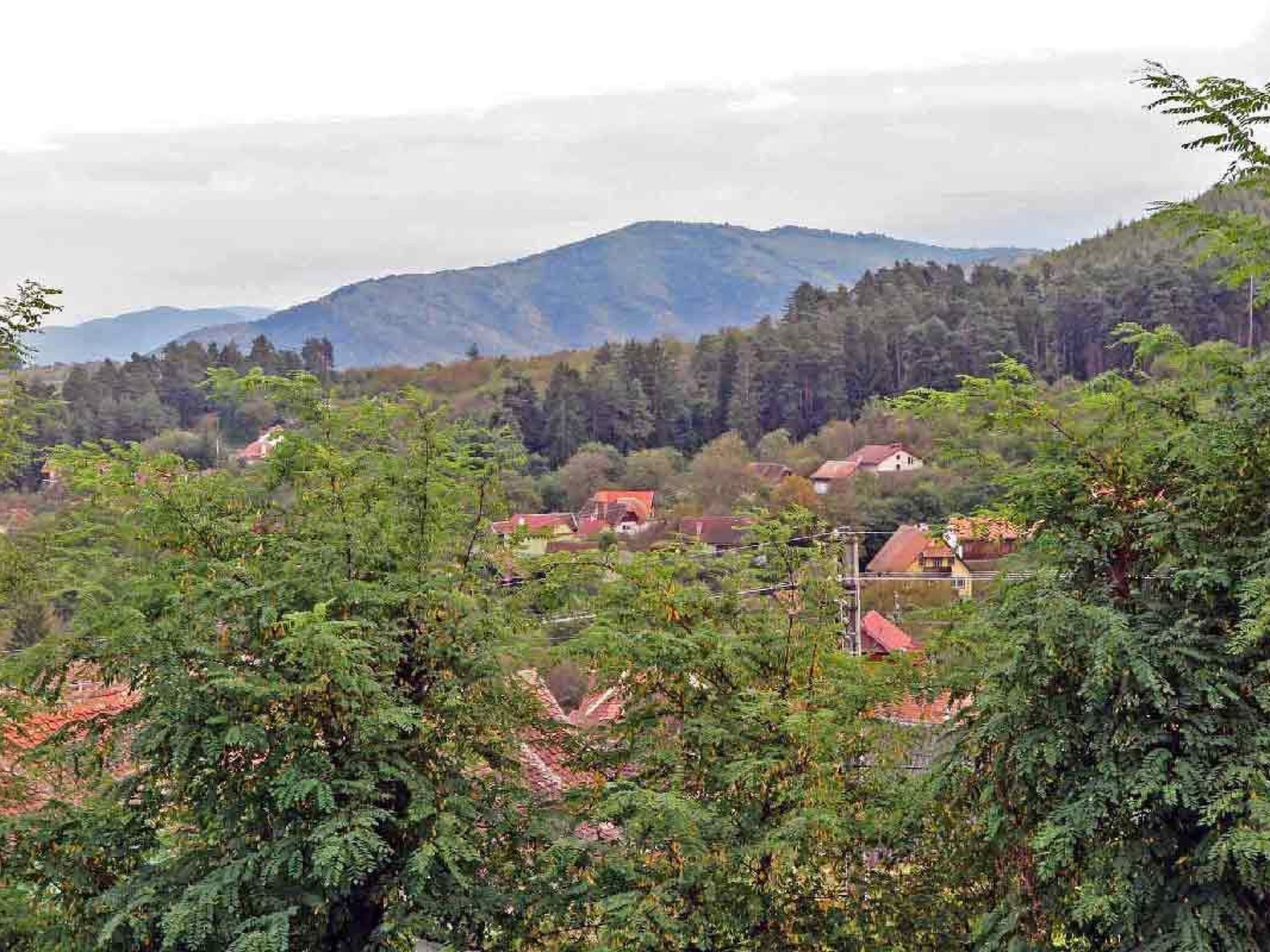Casa Nicu - traditionelles Landhaus in Hirtendorf