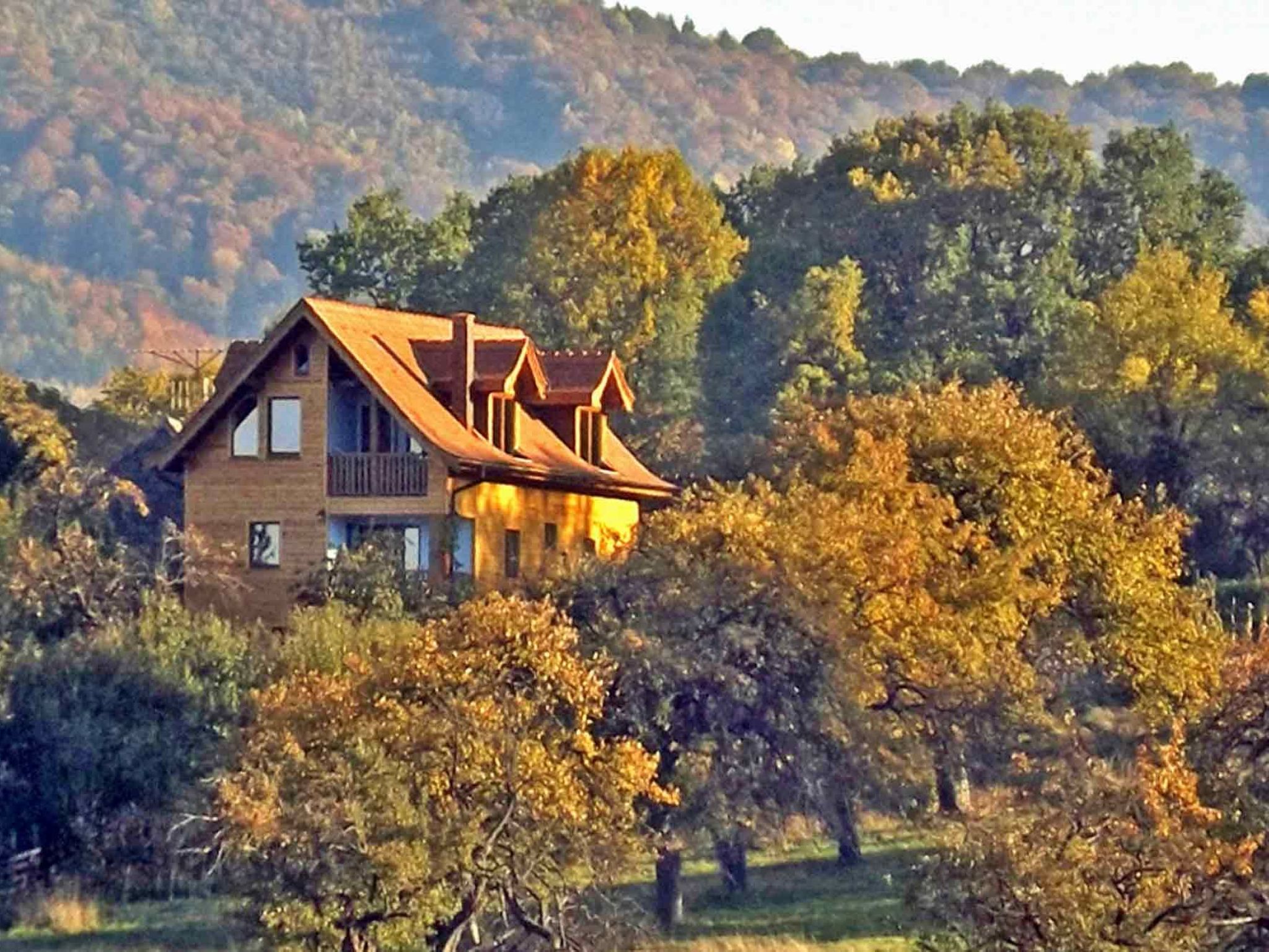 Casa Zollo - nahe den Karpaten Transsilvaniens-Binnen