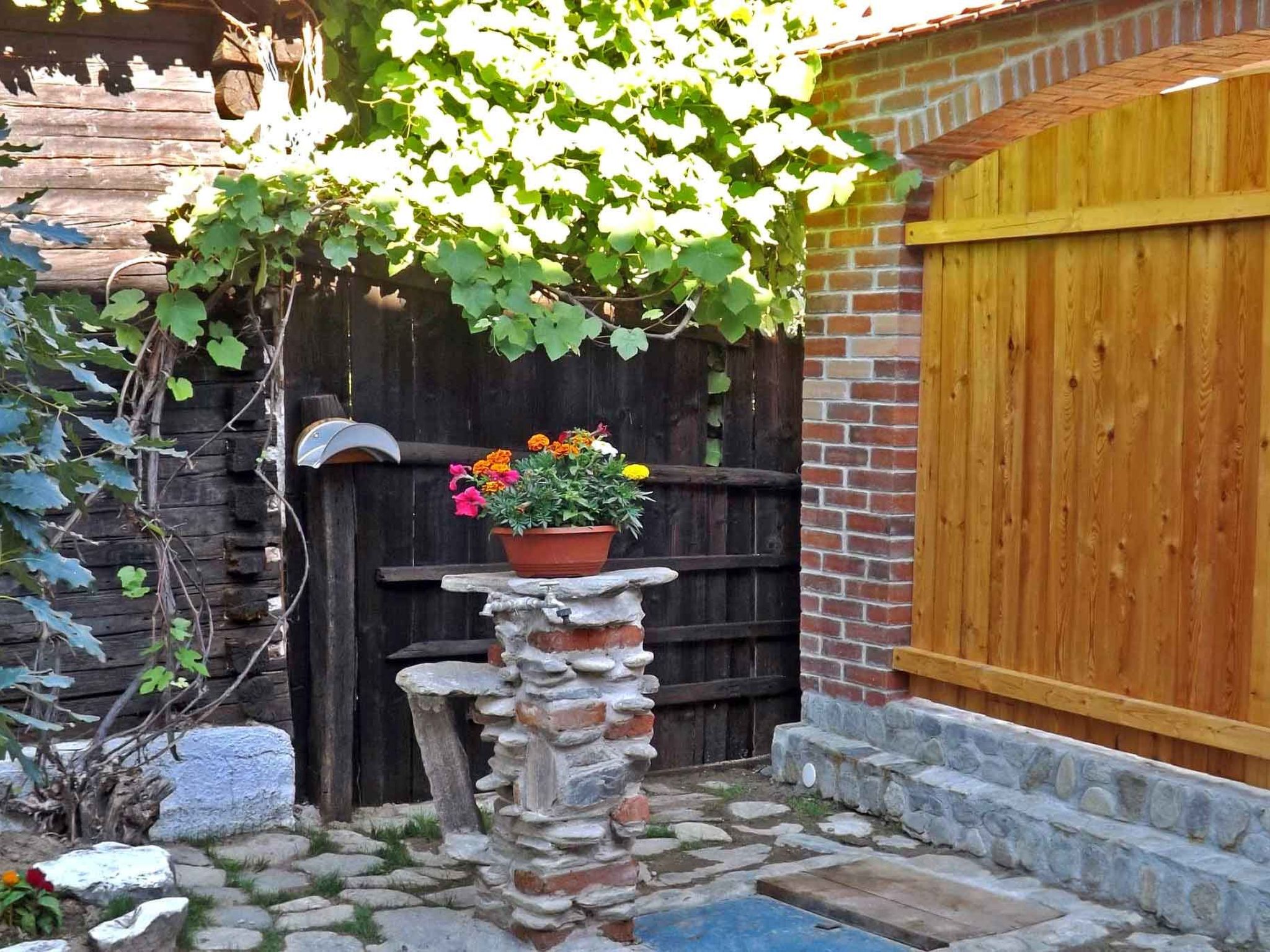 Casa Zollo - nahe den Karpaten Transsilvaniens-Binnen