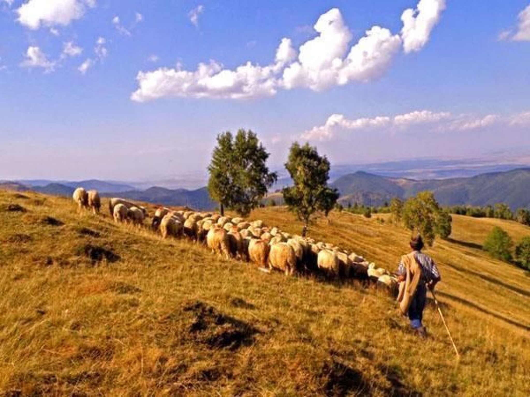 Casa Zollo - nahe den Karpaten Transsilvaniens-Binnen
