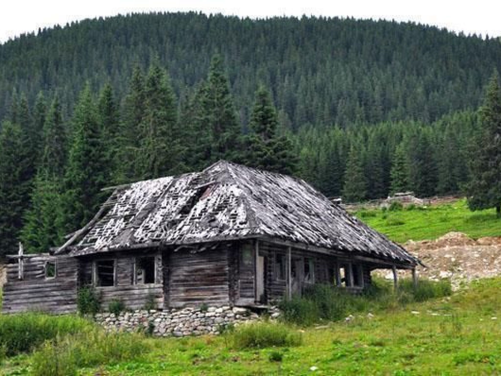 Casa Zollo - nahe den Karpaten Transsilvaniens-Binnen
