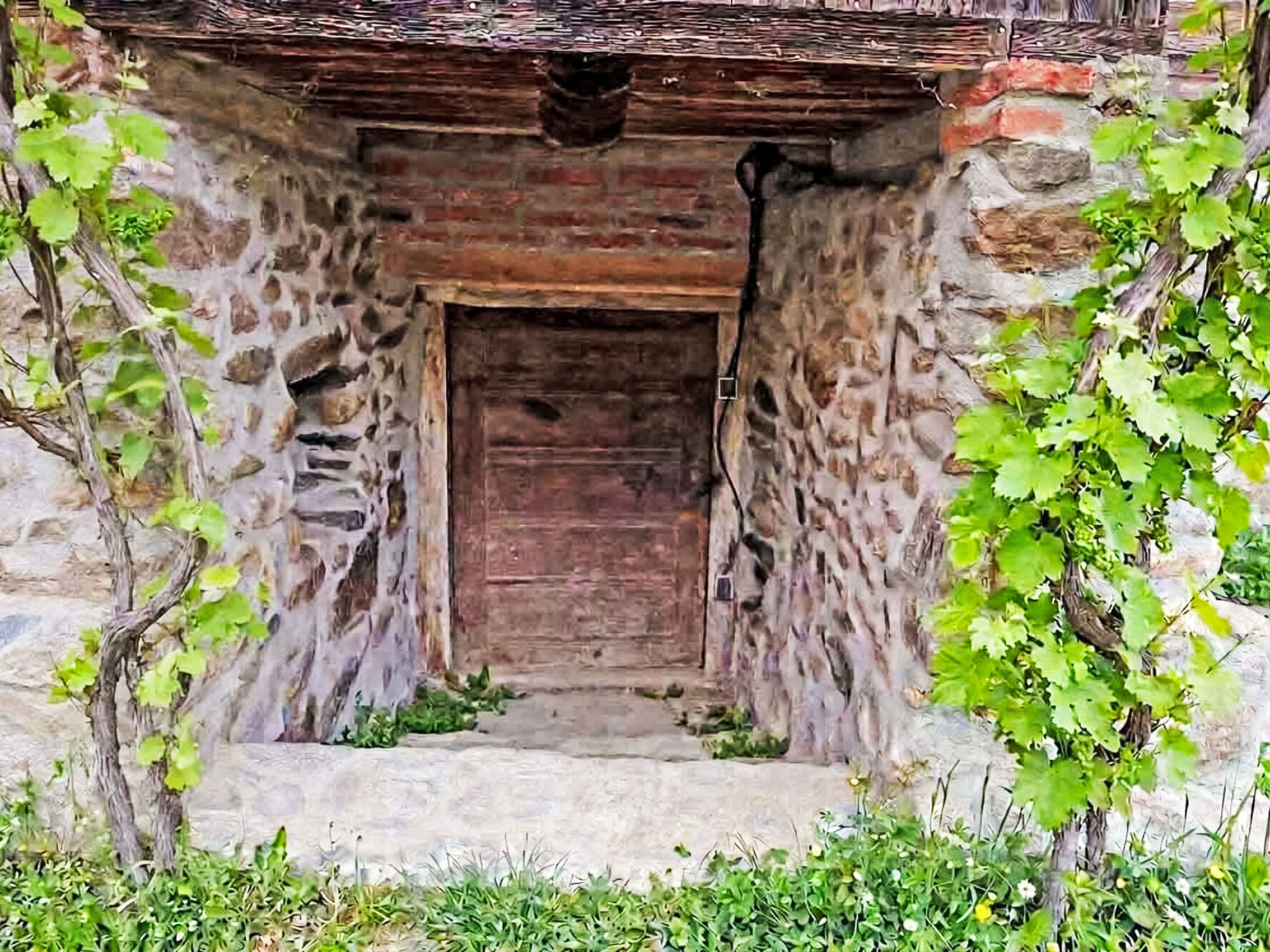 Casa Rico - Buiten