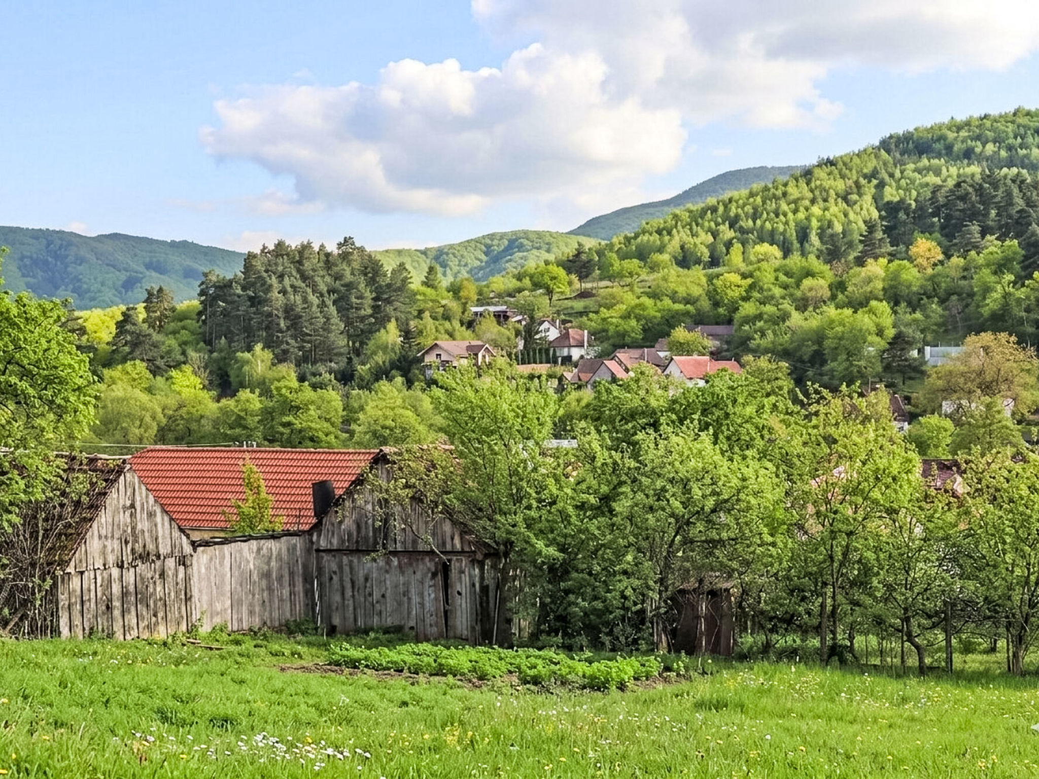Casa Rico - Buiten