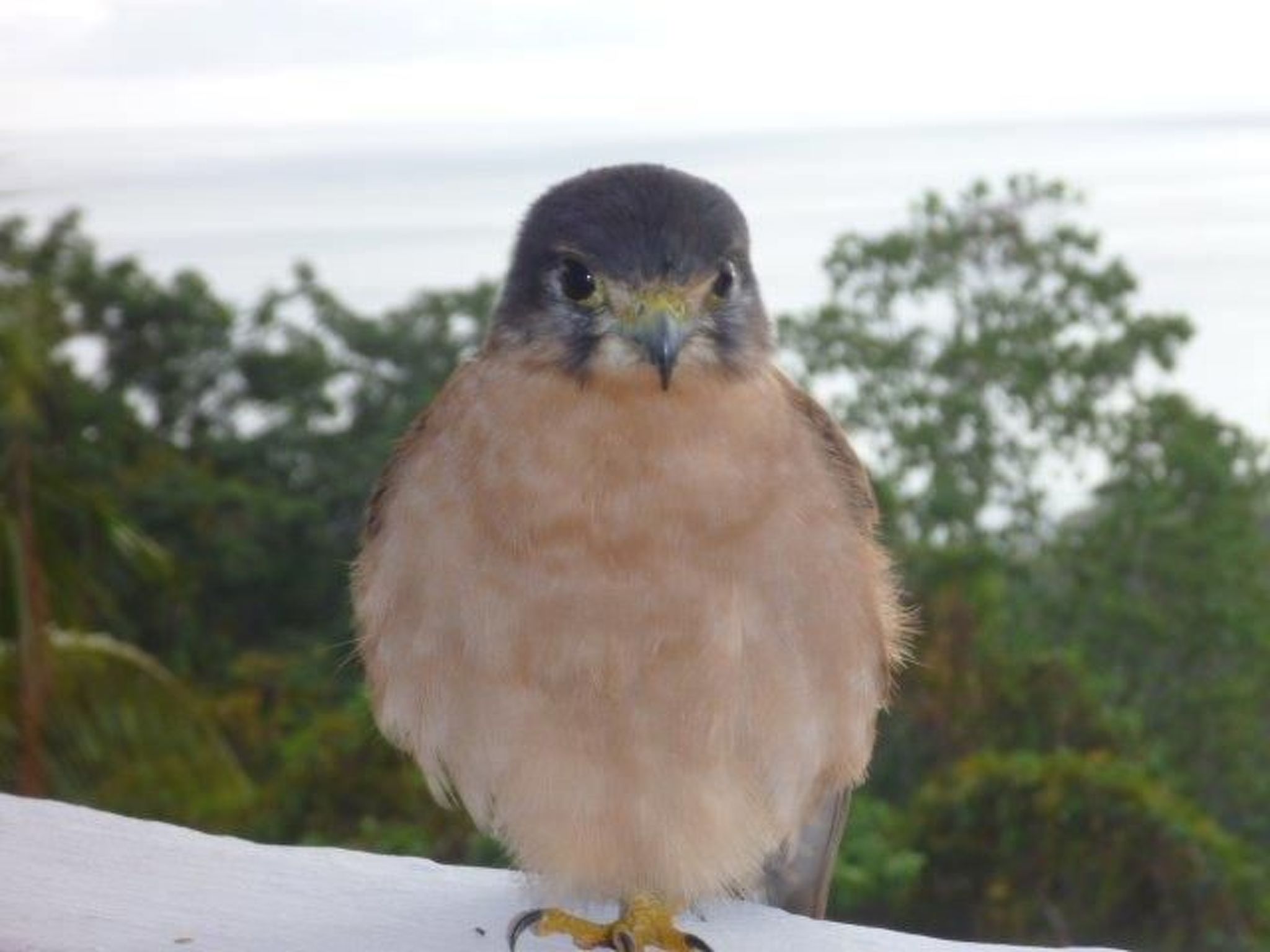 am Beau Vallon Beach