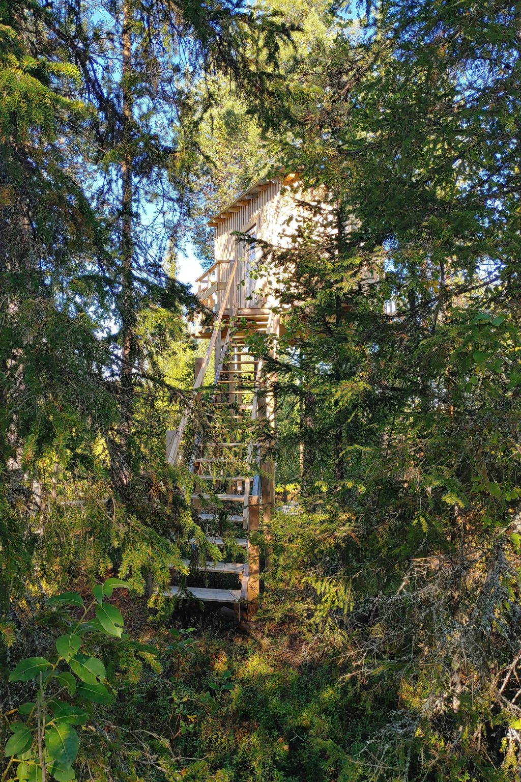 Aurora Lodge-Outside