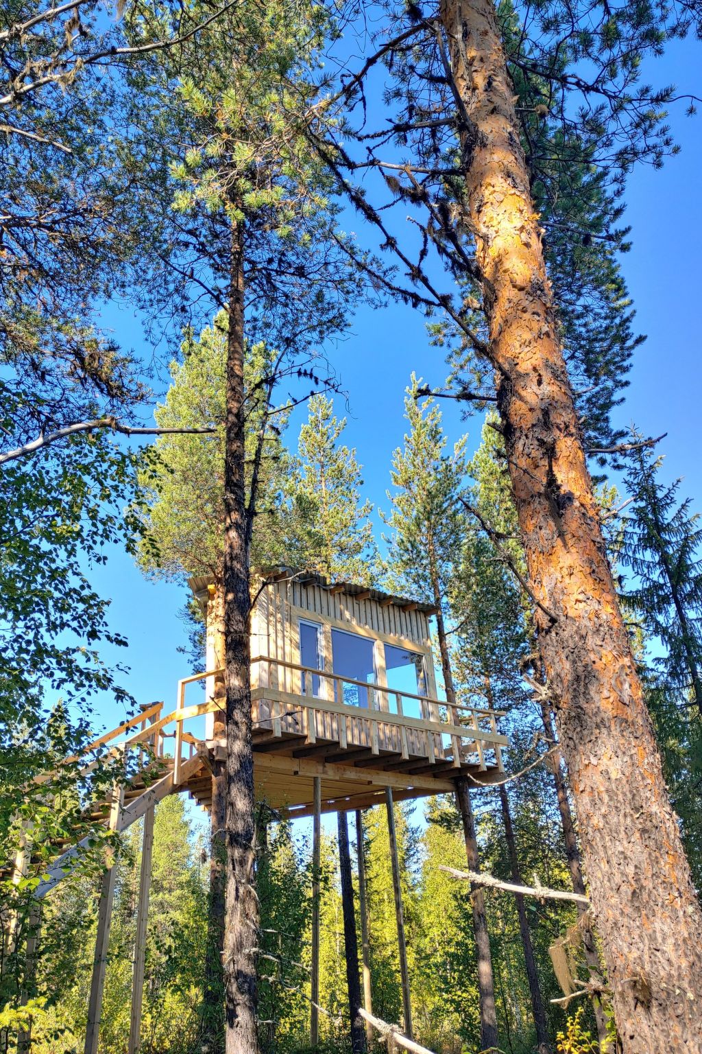 Aurora Lodge-Outside