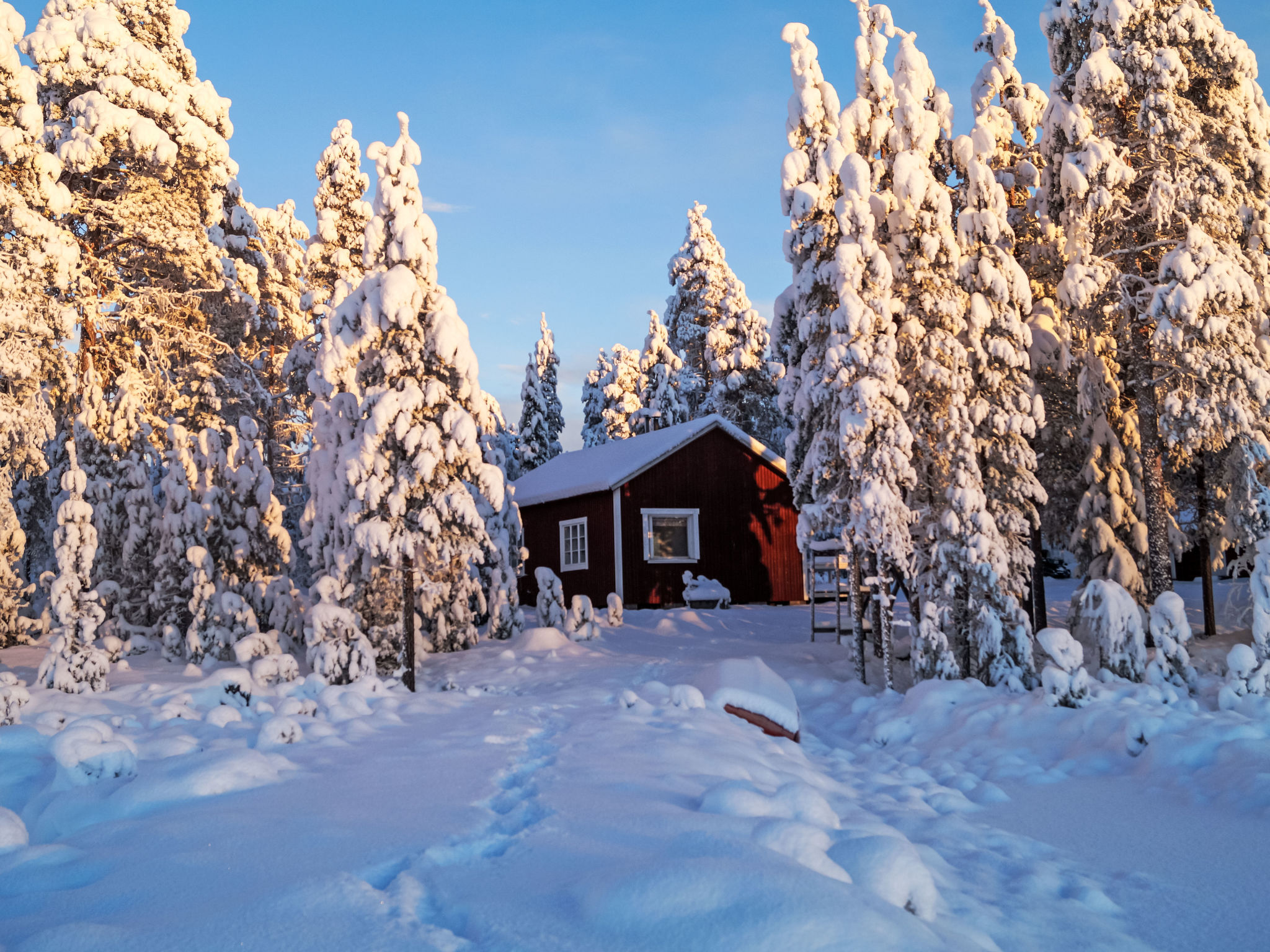 in Arvidsjaur mit eigener Sauna — House (5 of 33)