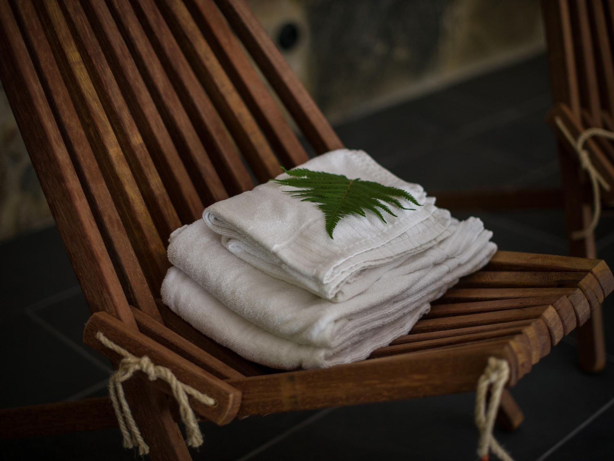 Direkt am See gelegen-Dedans