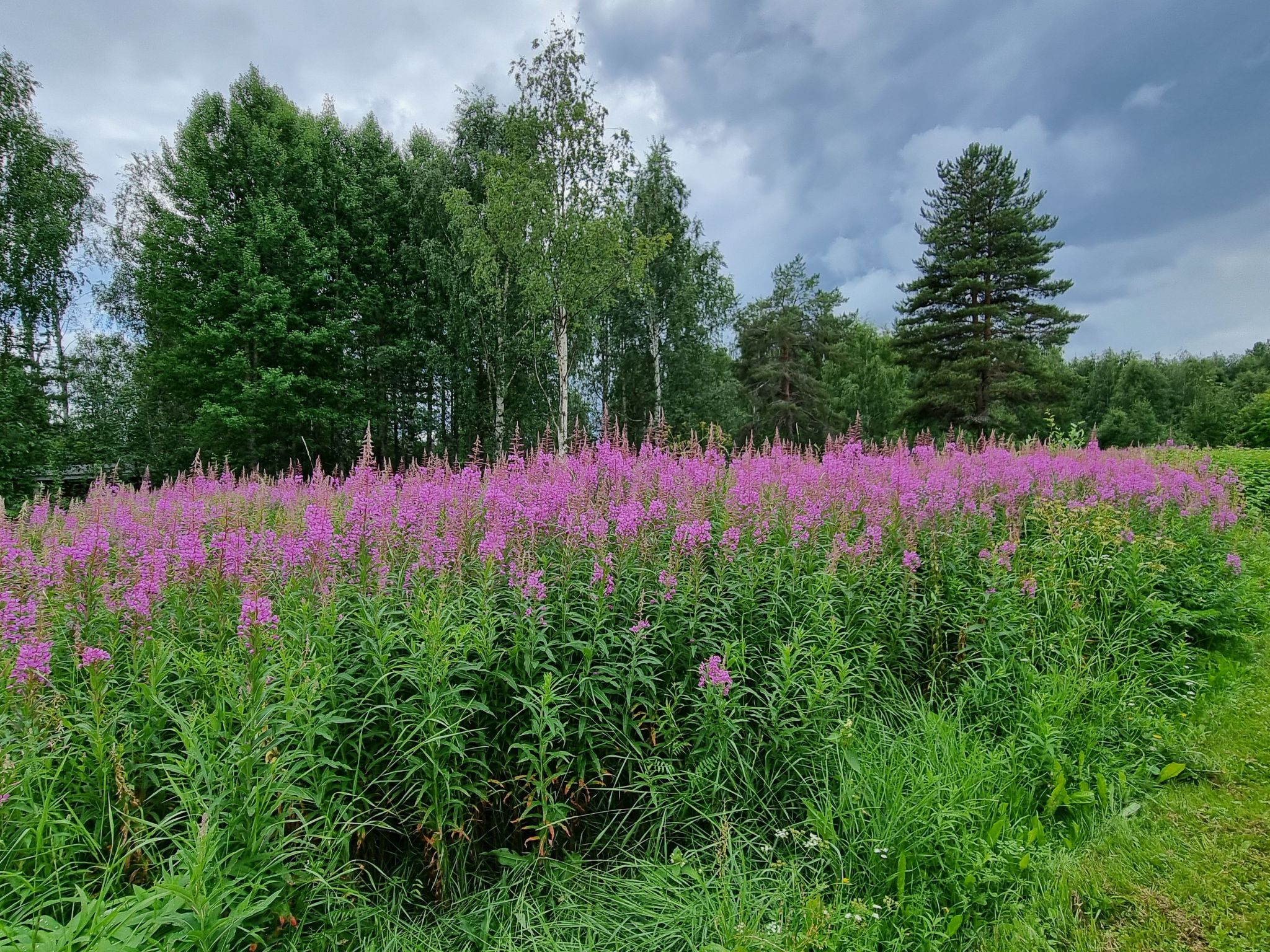 Villa Norrsken-Binnen