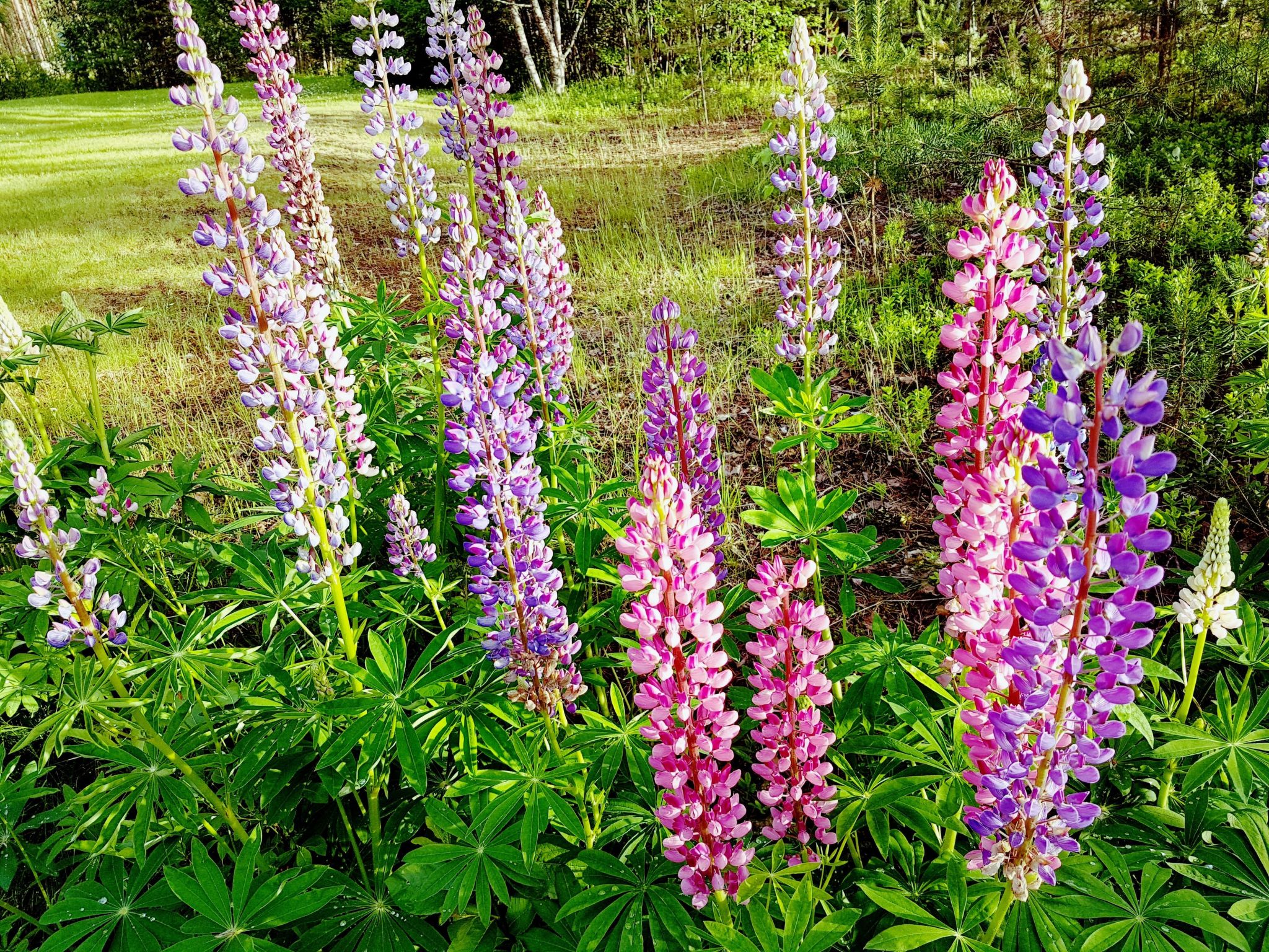 Villa Norrsken-Binnen