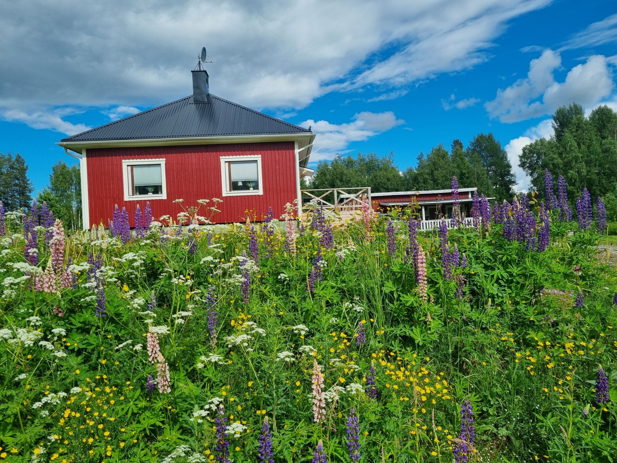 Villa Norrsken-Binnen