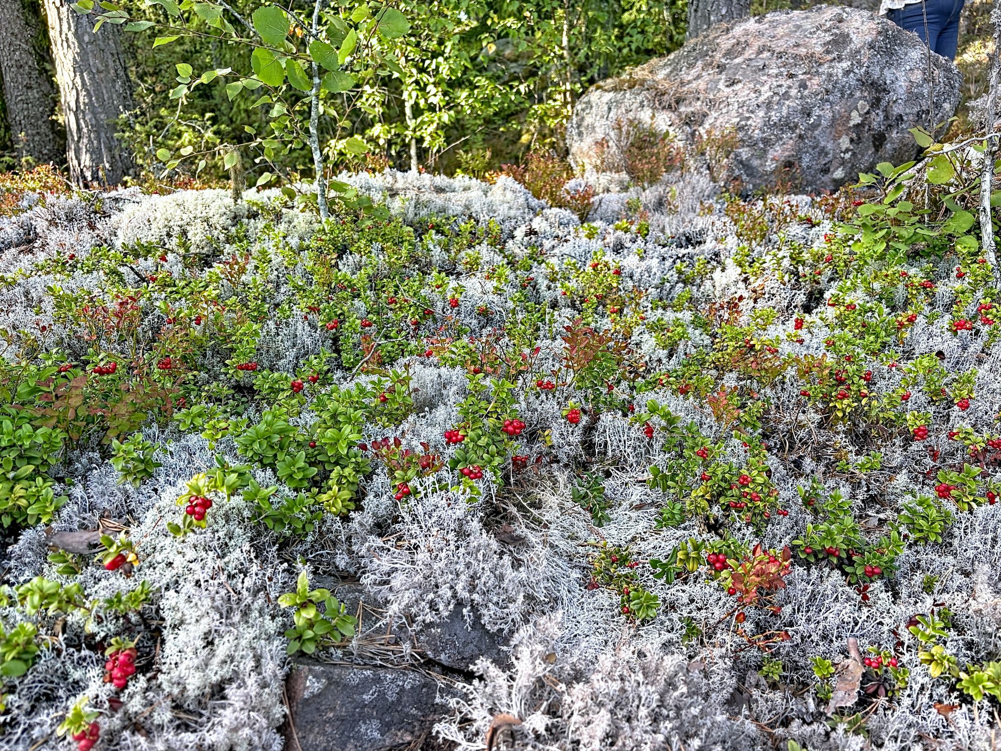 Högsjön - Buiten