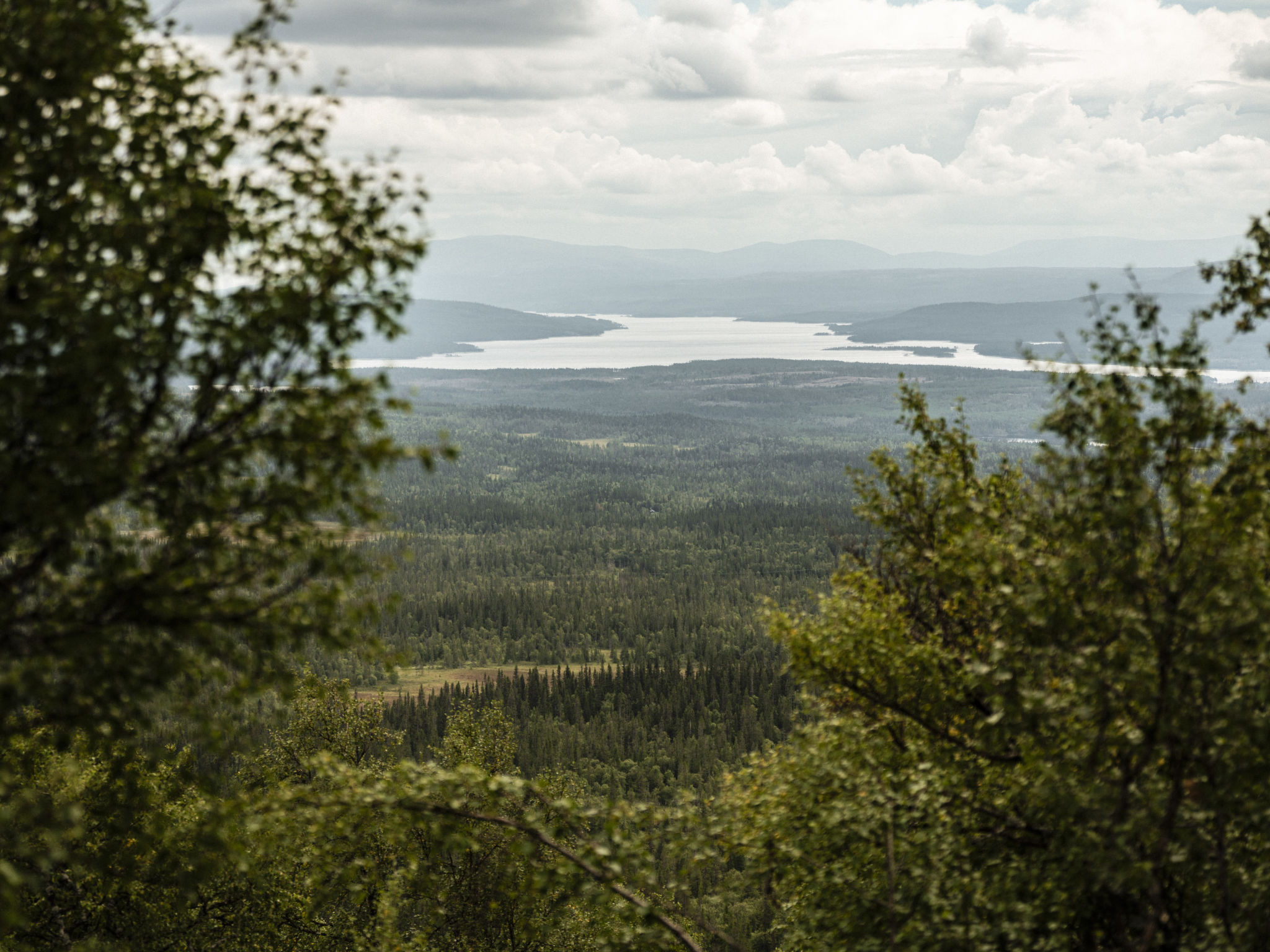 Trillevallen 5-Environnement