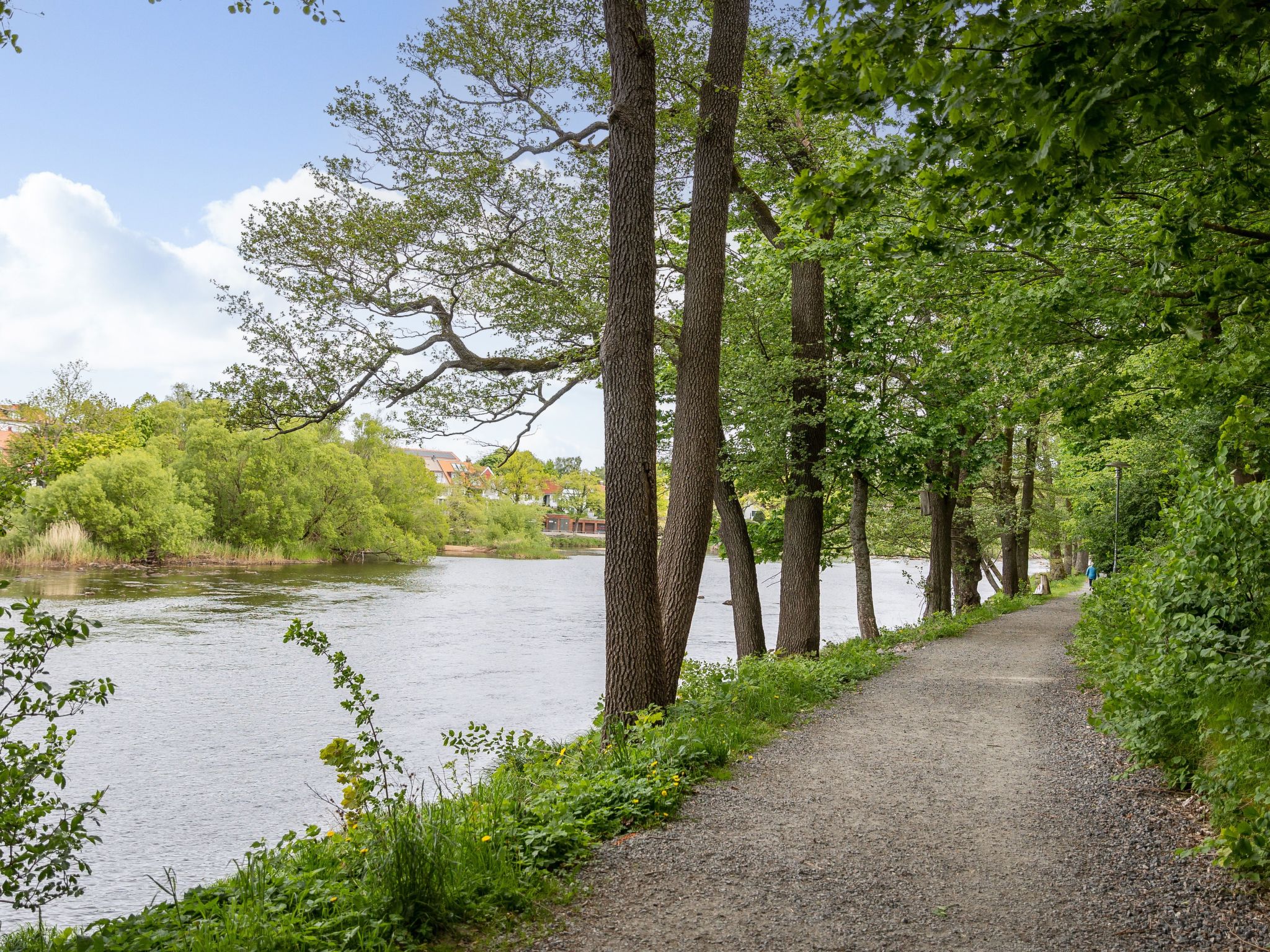 Open haard en verwarmd zwembad in ruim vakantiehuis in Falkenberg - foto 48