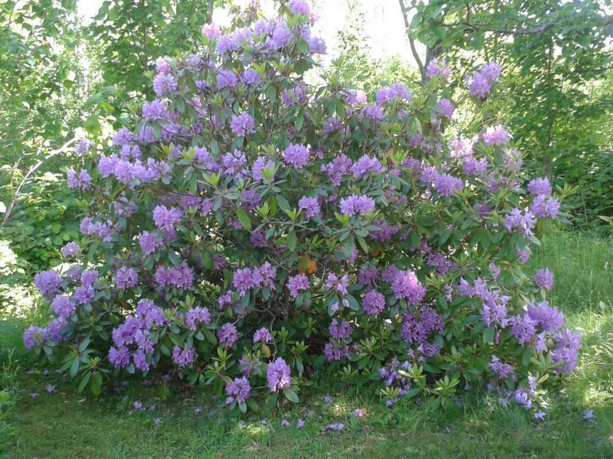 Gemütliches Haus in Arvika mit Garten und Grill-Dedans