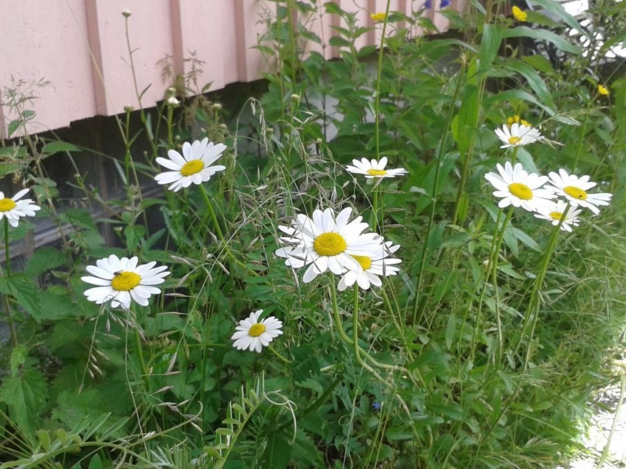 Gemütliches Haus in Arvika mit Garten und Grill-Dedans
