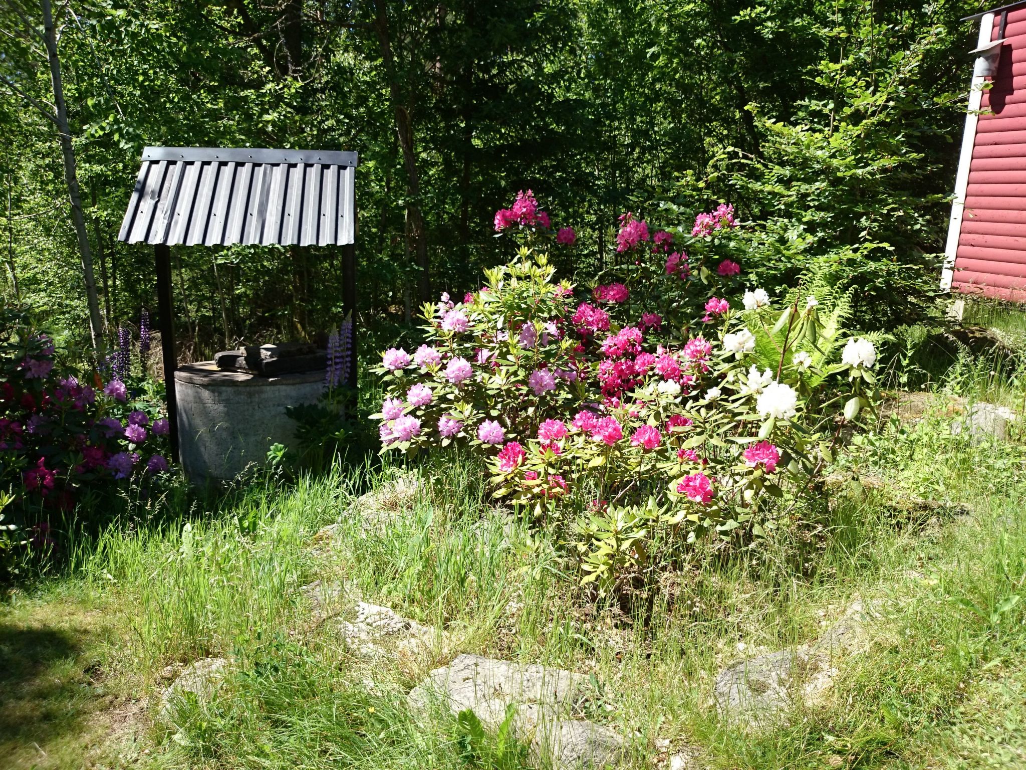 Gemütliches Ferienhaus in Seenähe