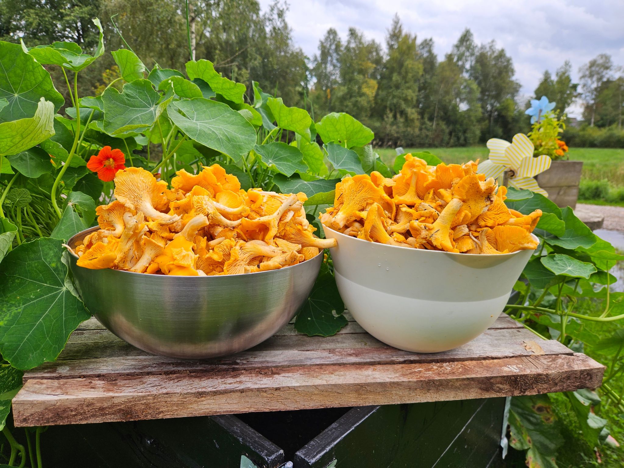 Gösen in Seenähe inklusive Ruderboot-Image-tags.info