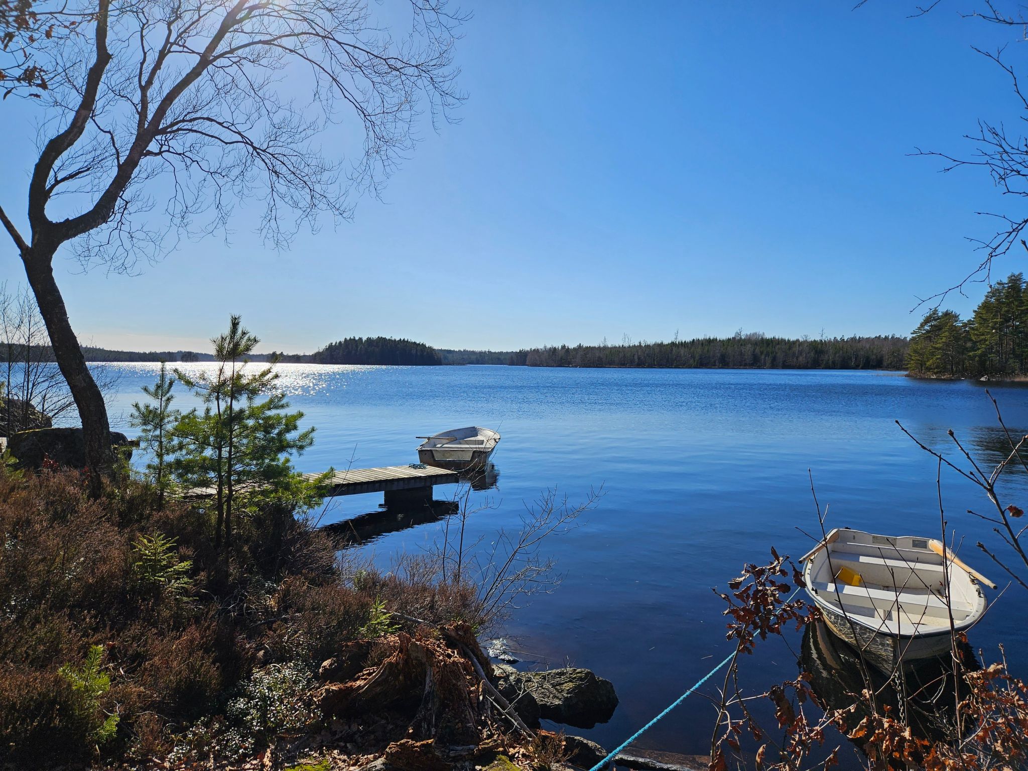 Gösen in Seenähe inklusive Ruderboot-Image-tags.info