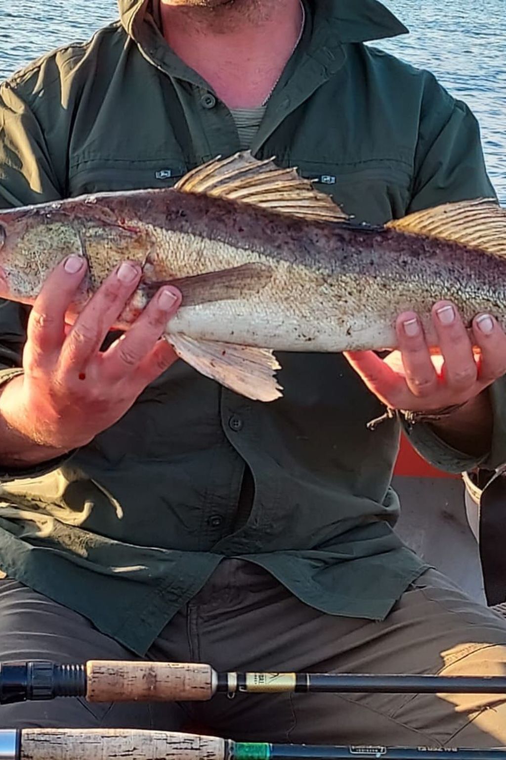 Abborren mit eigenem Ruderboot-Image-tags.info