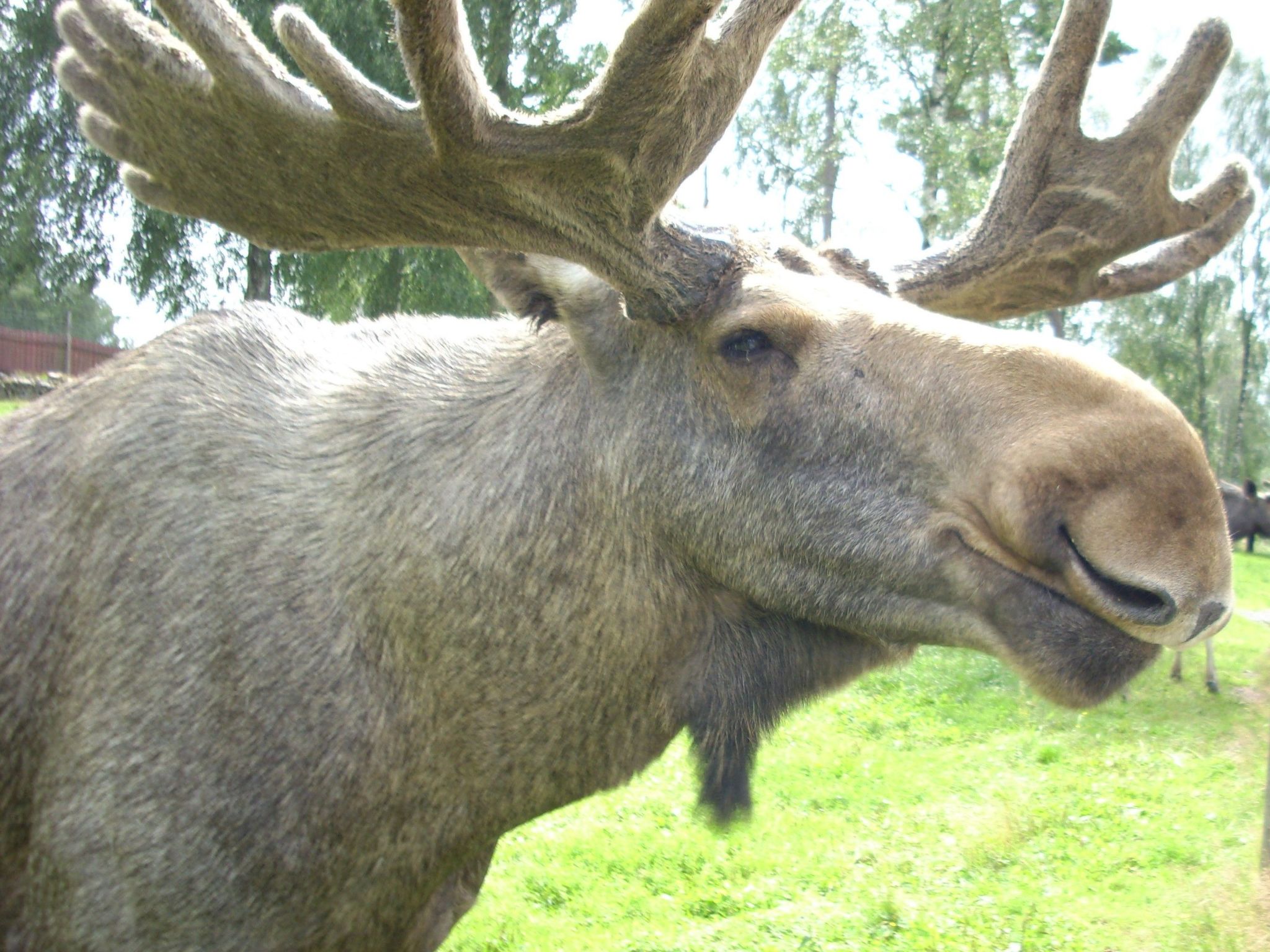 Abborren mit eigenem Ruderboot-Image-tags.info