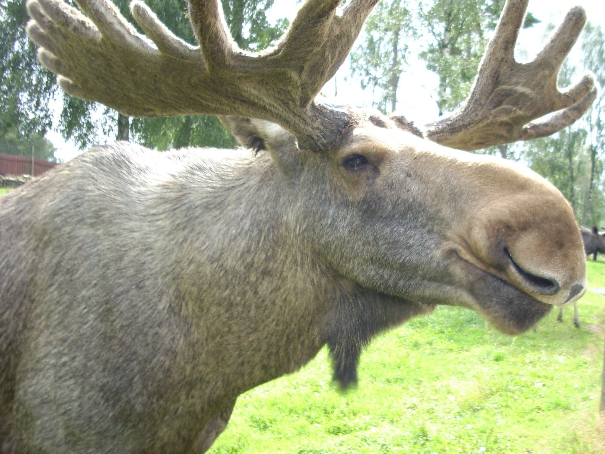 Gemütliches Cottage mit Whirlpool