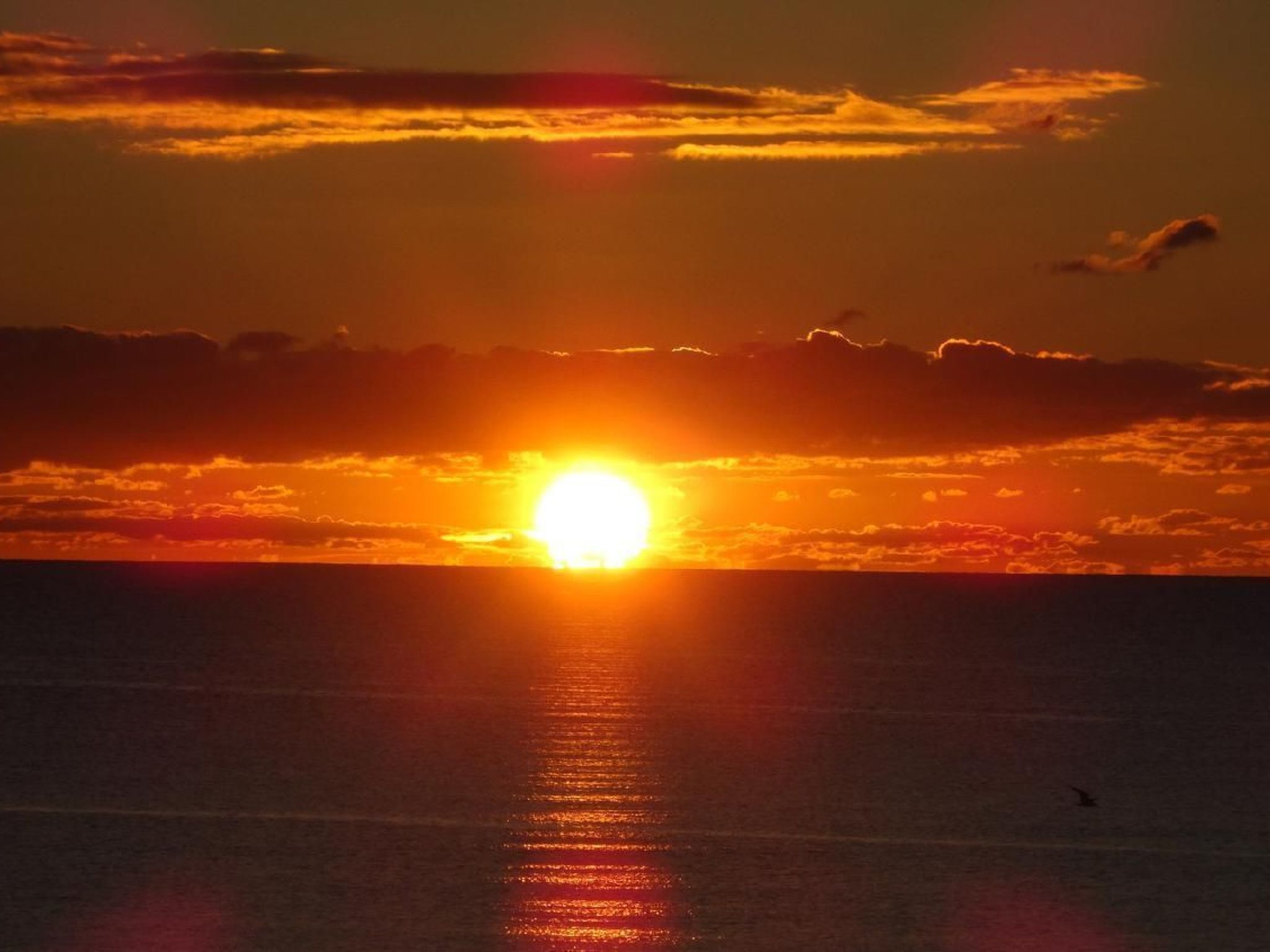 Modernes Haus in der Nähe von Strand und Golf in Halmstad-Binnen