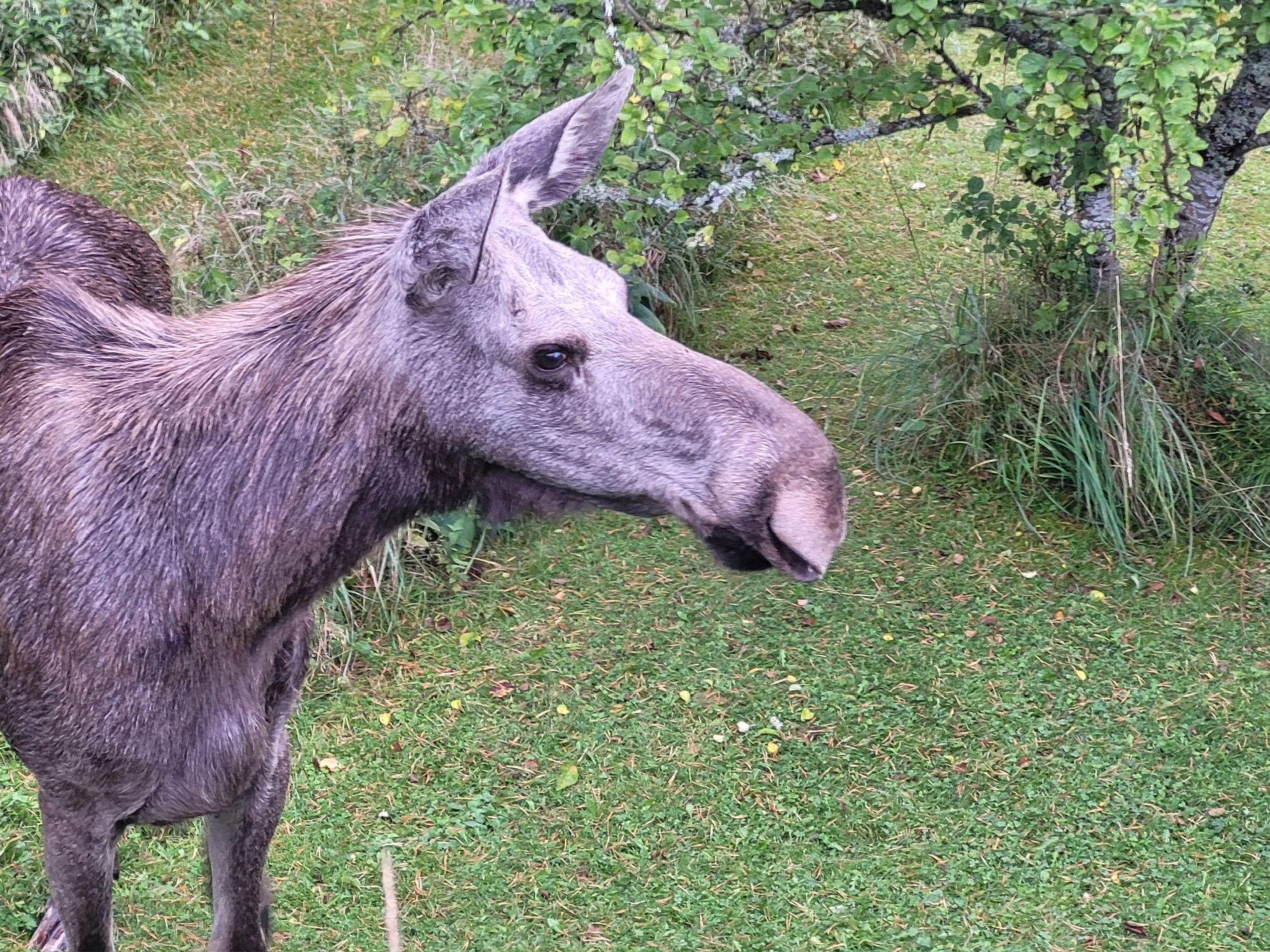 Villa Solsken-Binnen