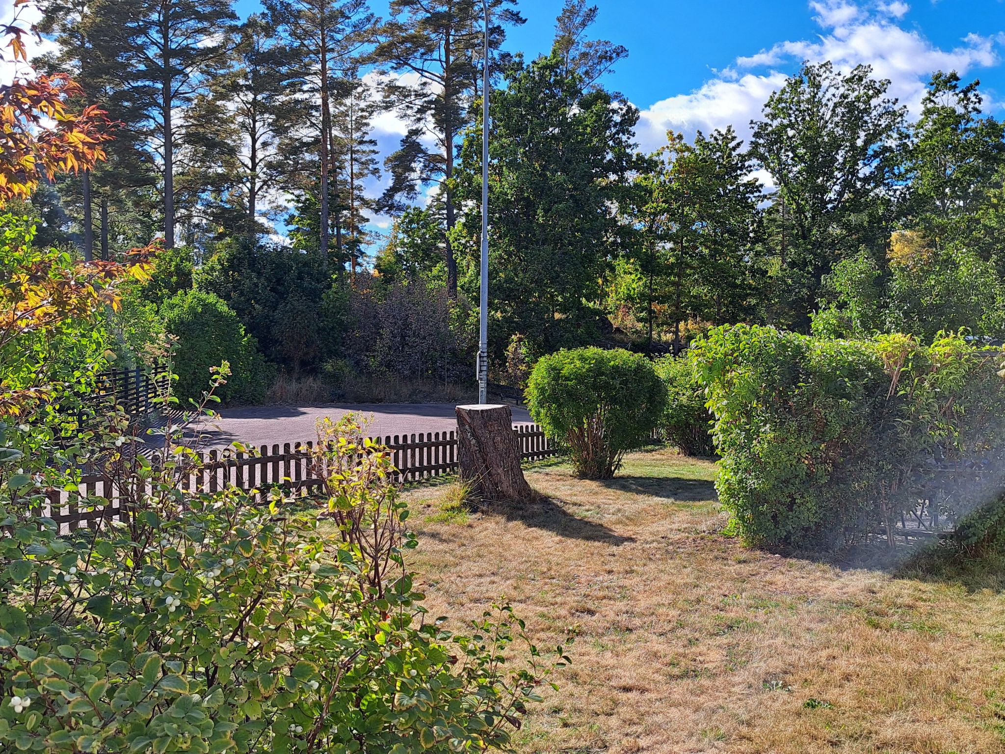 Im Herzen Smålands-Drinnen