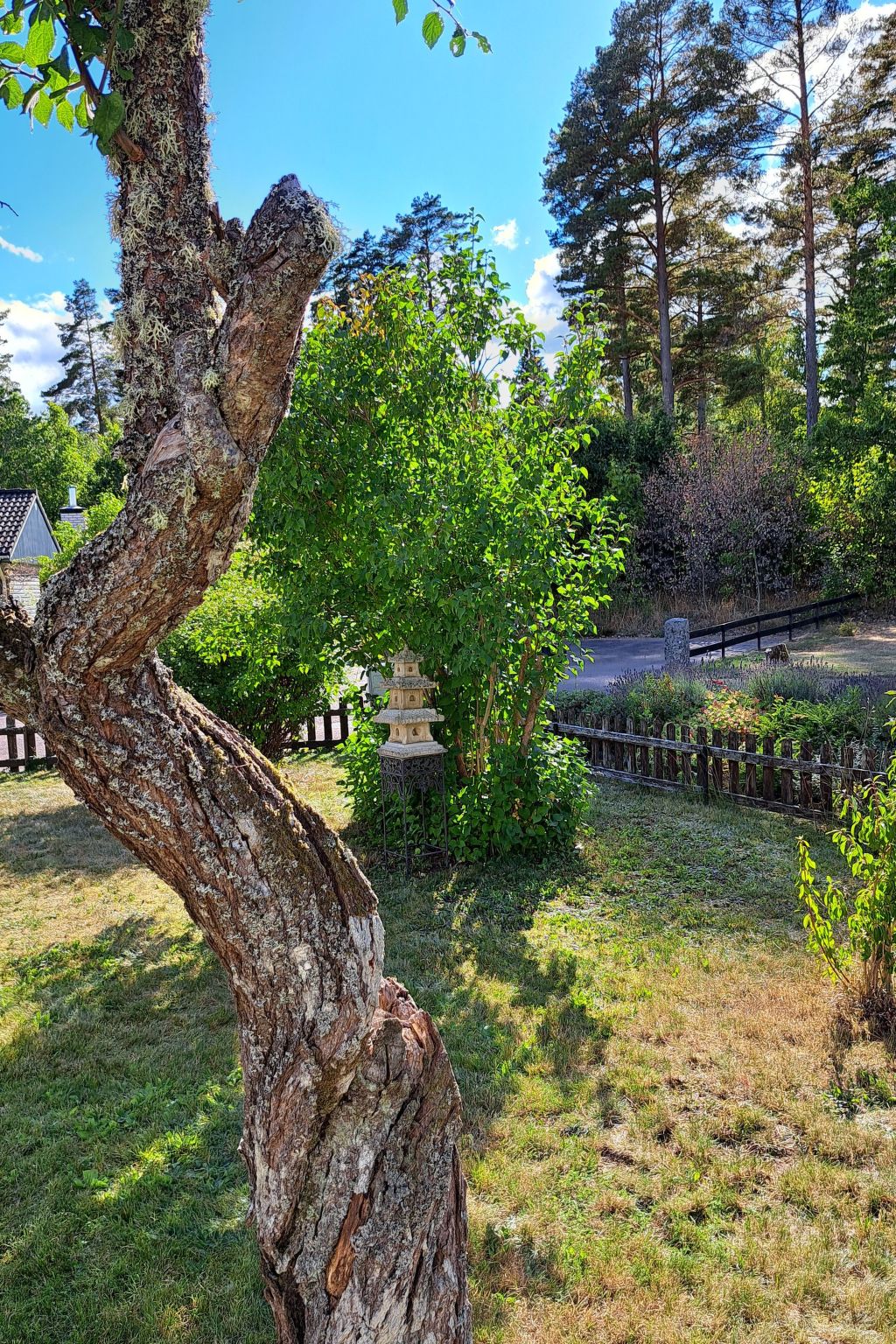 Im Herzen Smålands-Drinnen