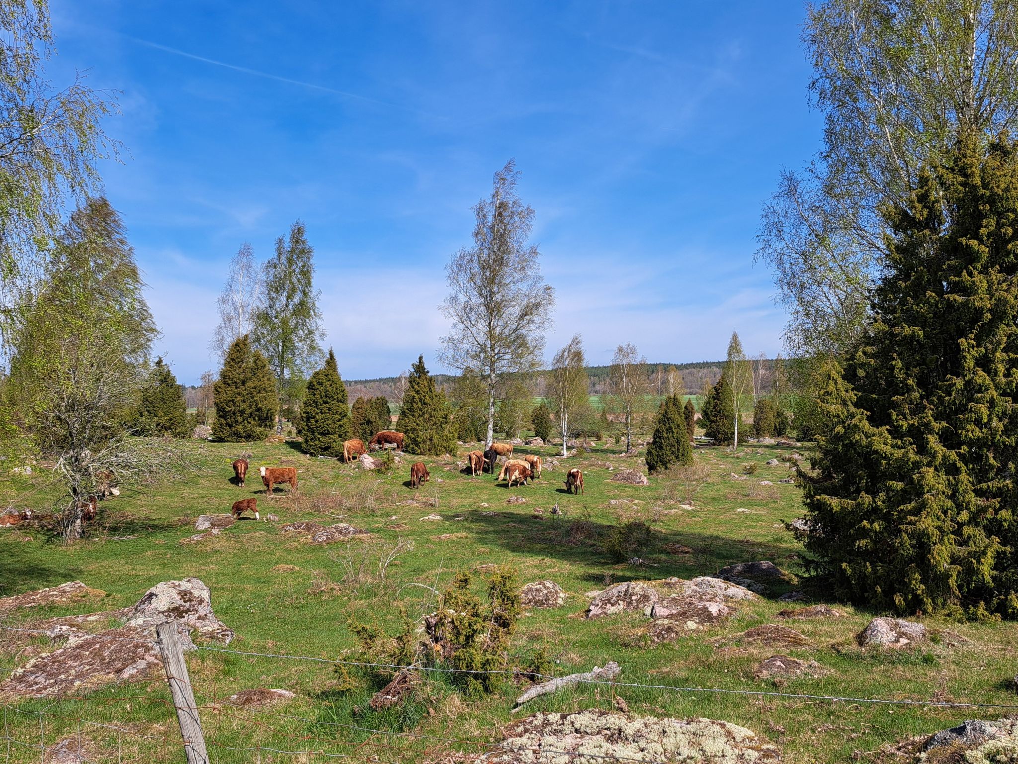 Im Herzen Smålands-Drinnen