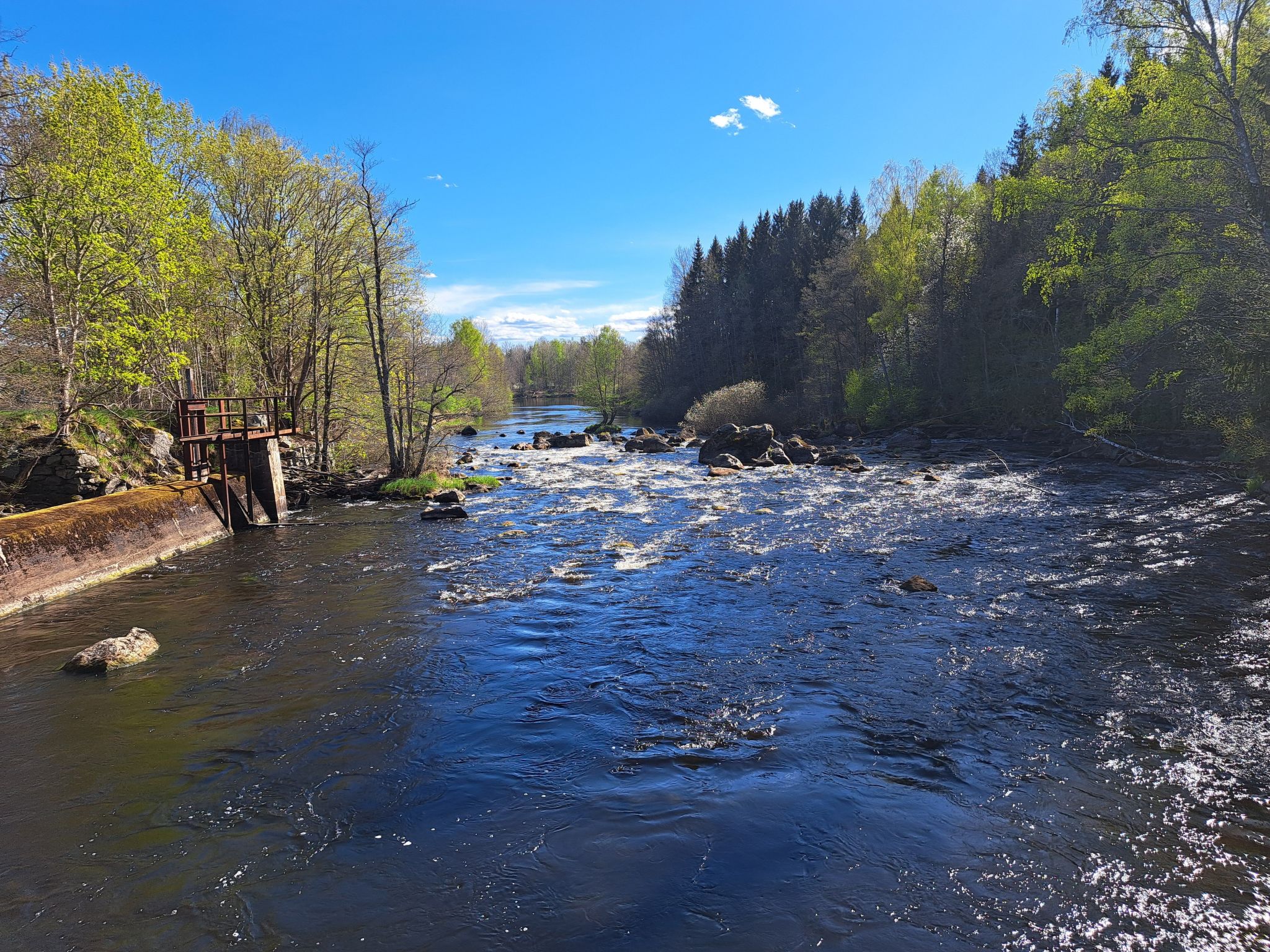 Im Herzen Smålands-Drinnen