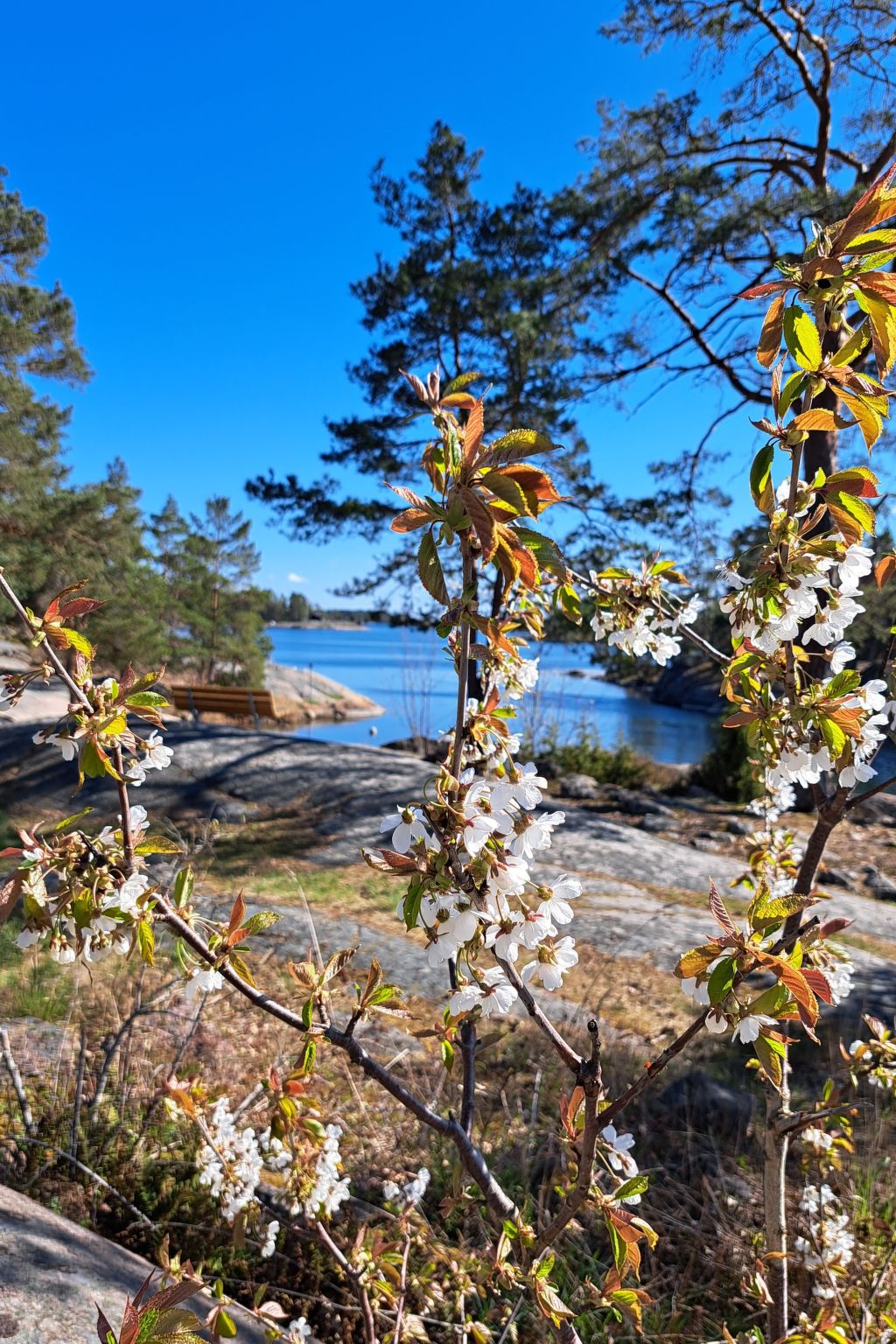 Im Herzen Smålands-Drinnen