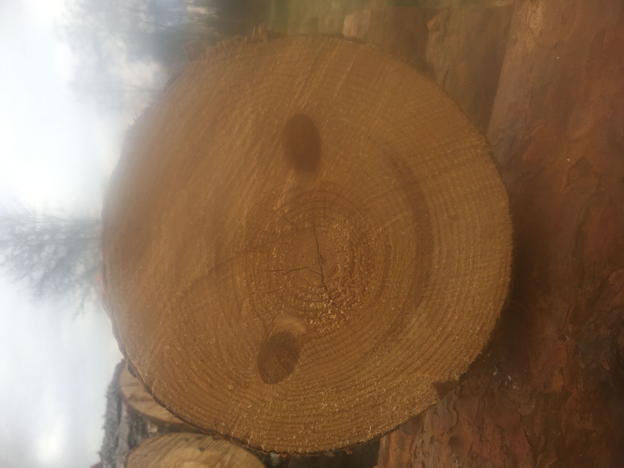 Haus mit toller Aussicht an einem schönen See