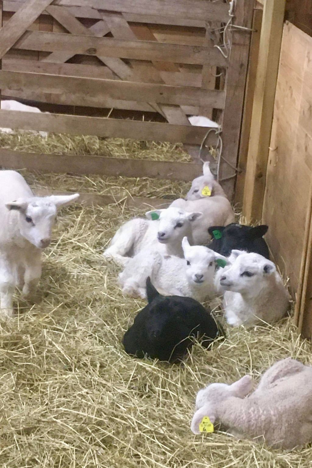 Haus mit toller Aussicht an einem schönen See