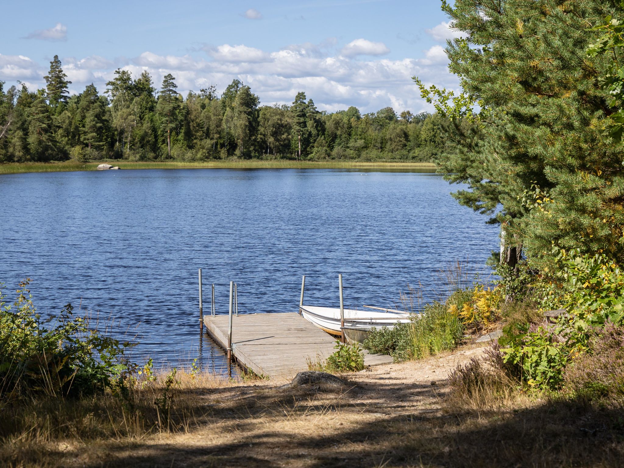 Skogstorp-Dehors