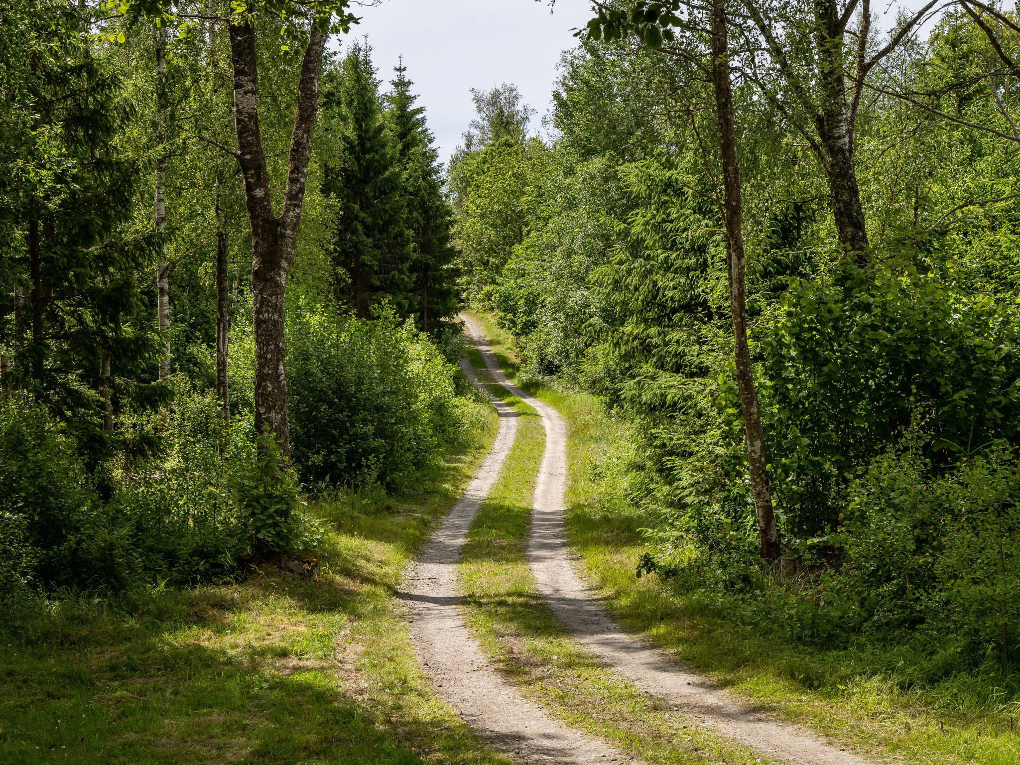 Skogstorp Ledja-Buiten