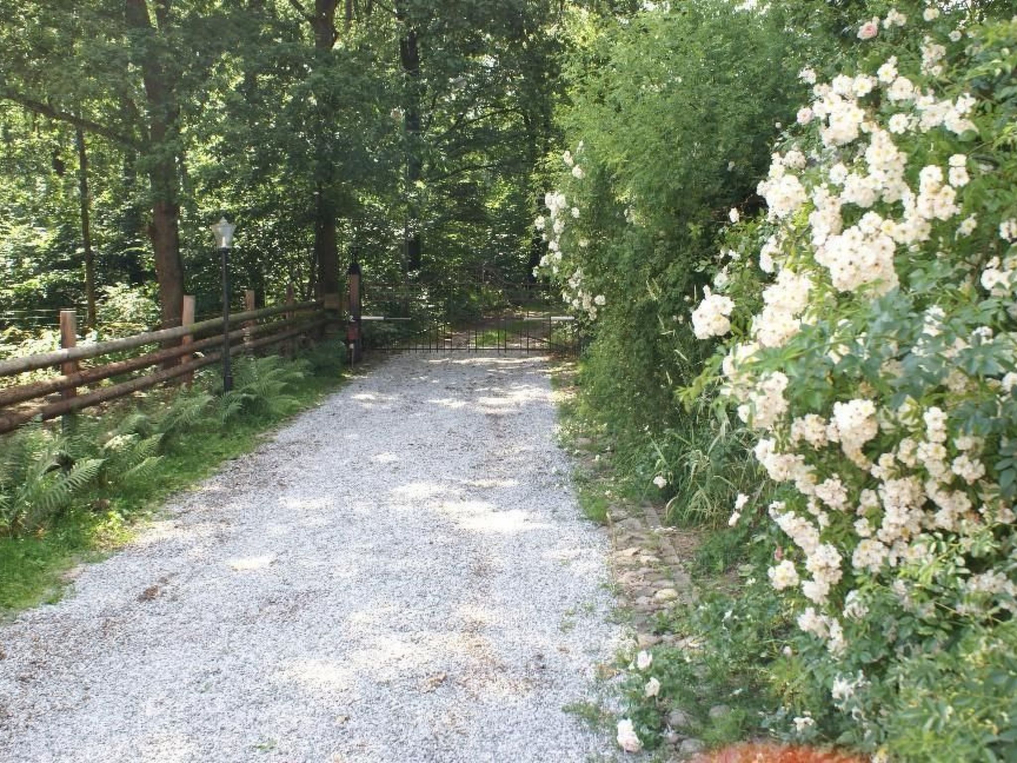 Mit Balkon, Terrasse und Garten-Binnen