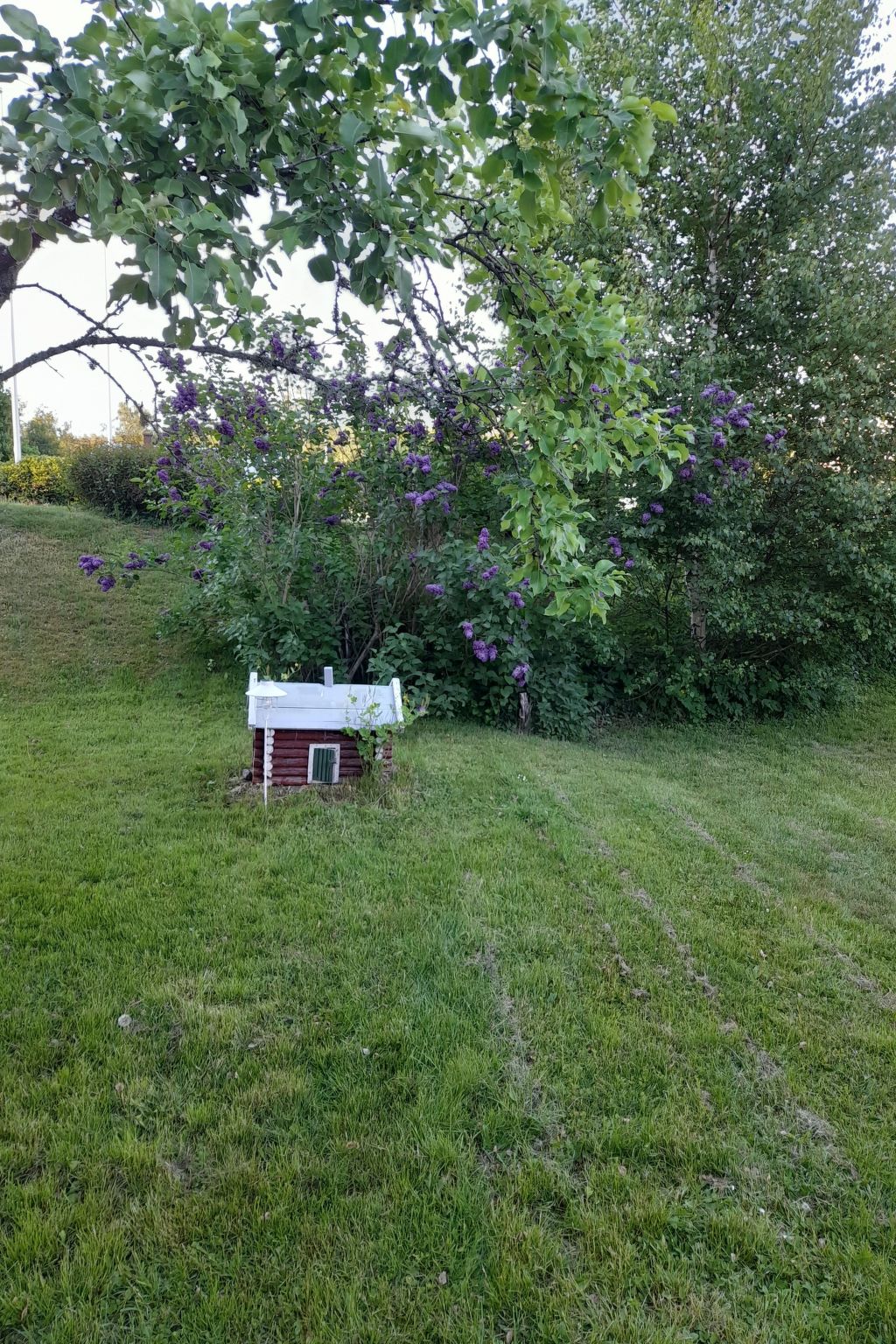 Typisch schwedisches Ferienhaus mit Garten-Drinnen