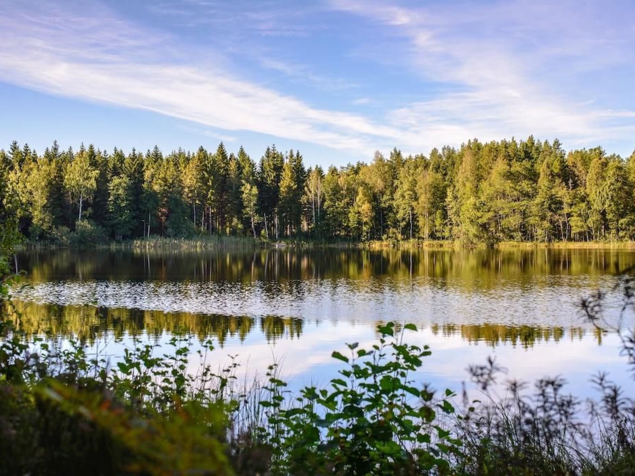 Typisch schwedisches Ferienhaus mit Garten-Drinnen