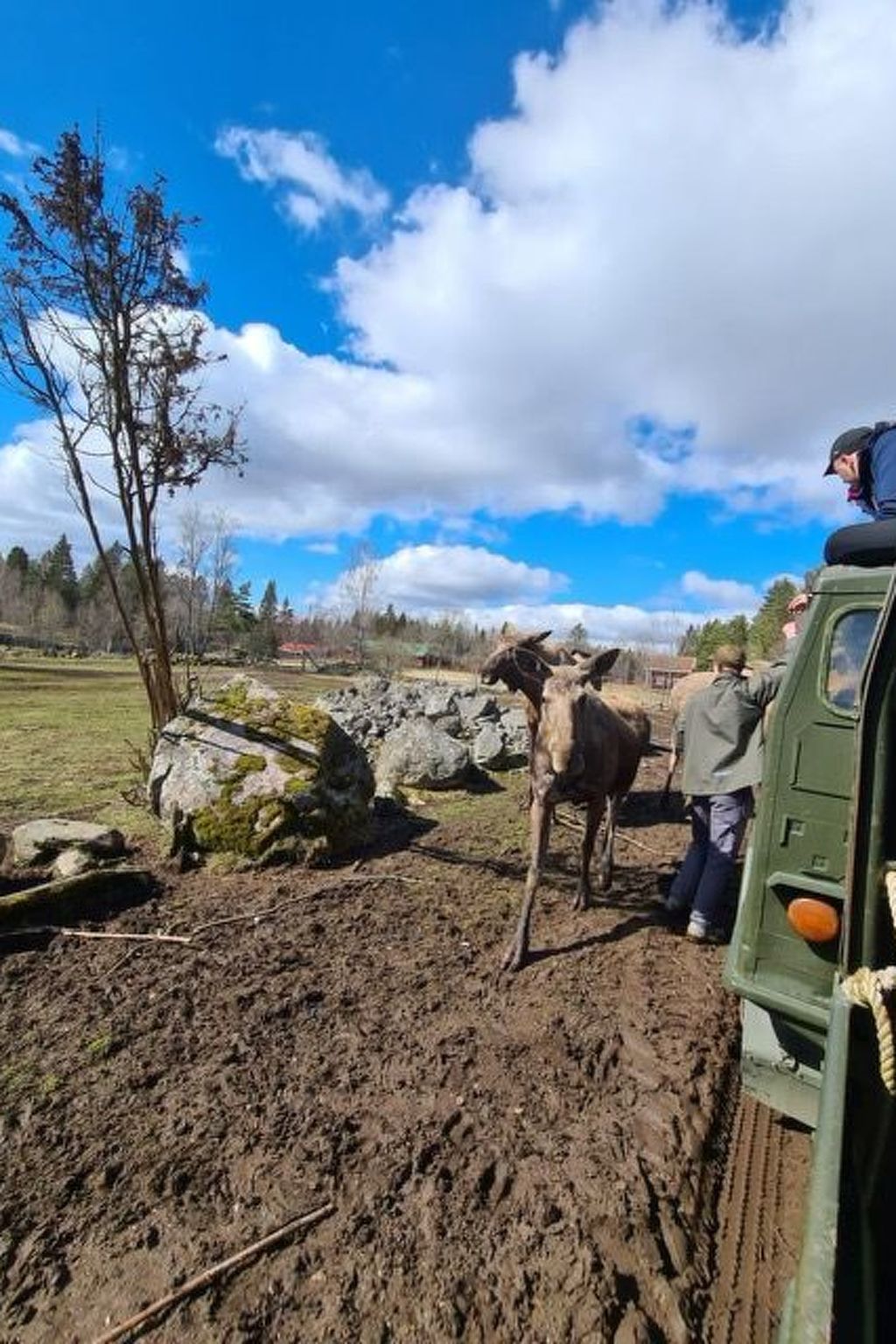 Mit Garten, Grill und Terrasse-Image-tags.info