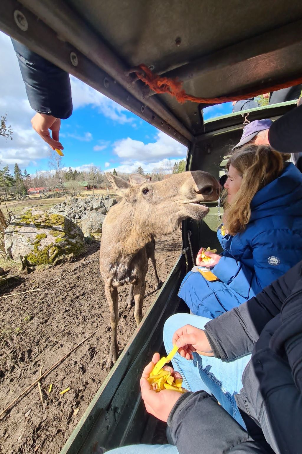 Mit Garten, Grill und Terrasse-Image-tags.info