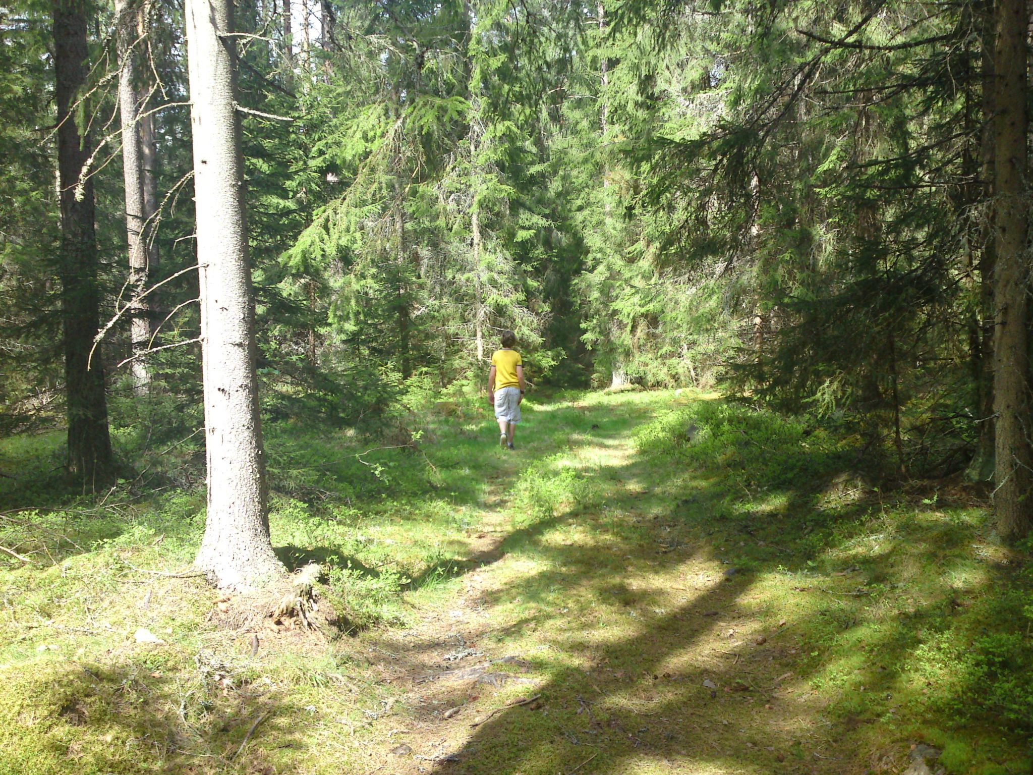 Mit Garten, Grill und Terrasse-Image-tags.info